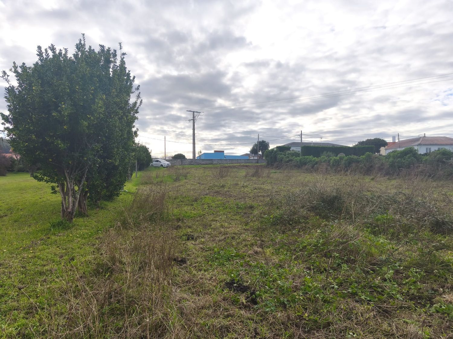 Fincas y solares-Venta-Ferrol-2417993-Foto-13