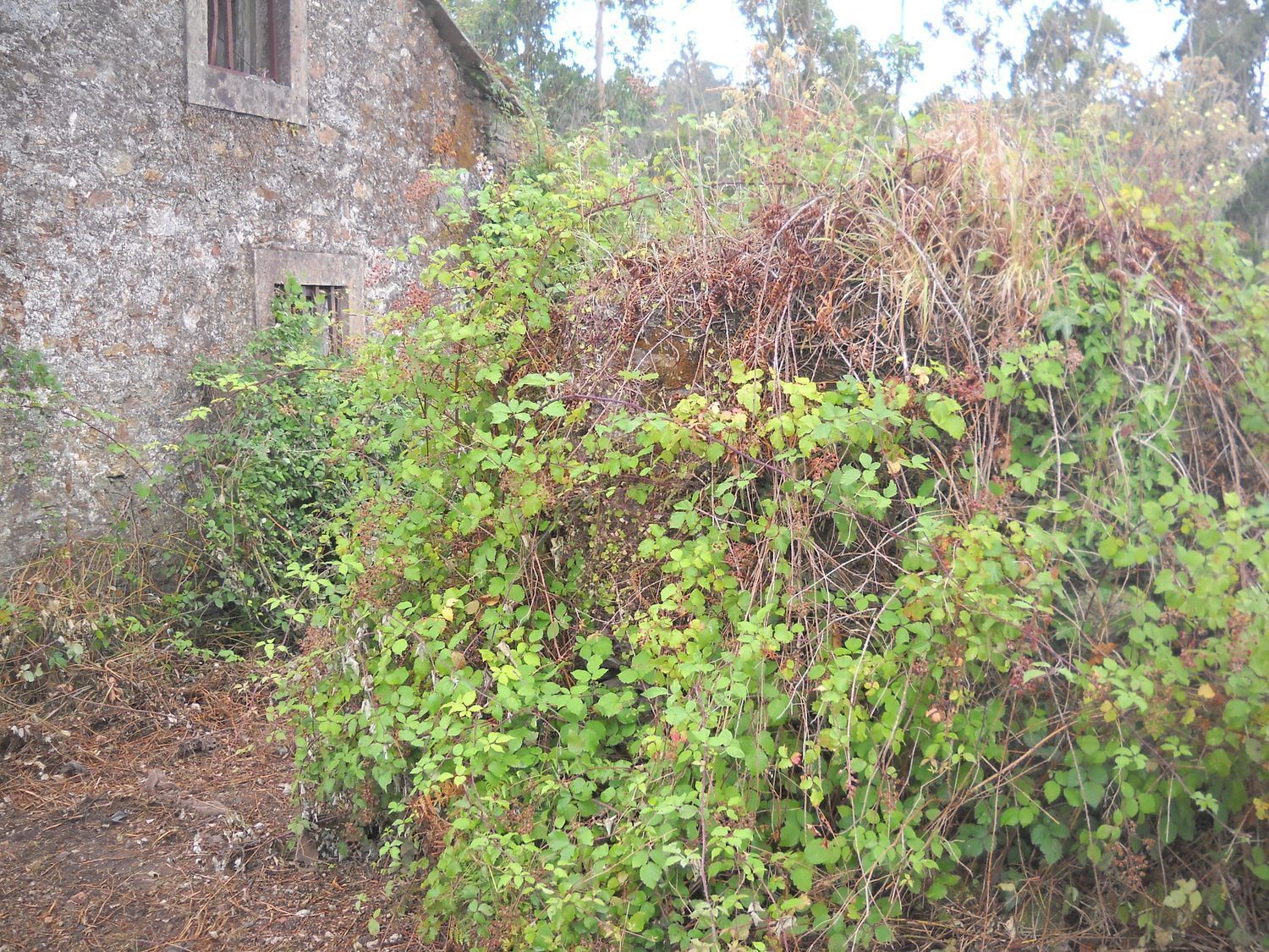 Pisos-Venta-Santiago de Compostela-2417984-Foto-3