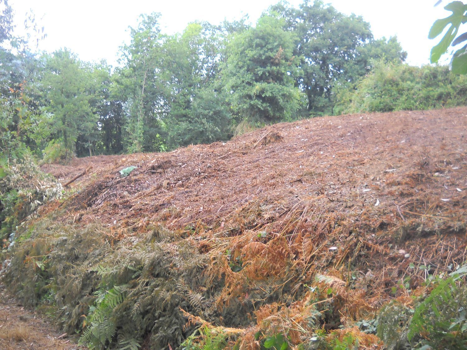 Pisos-Venta-Santiago de Compostela-2417984-Foto-6