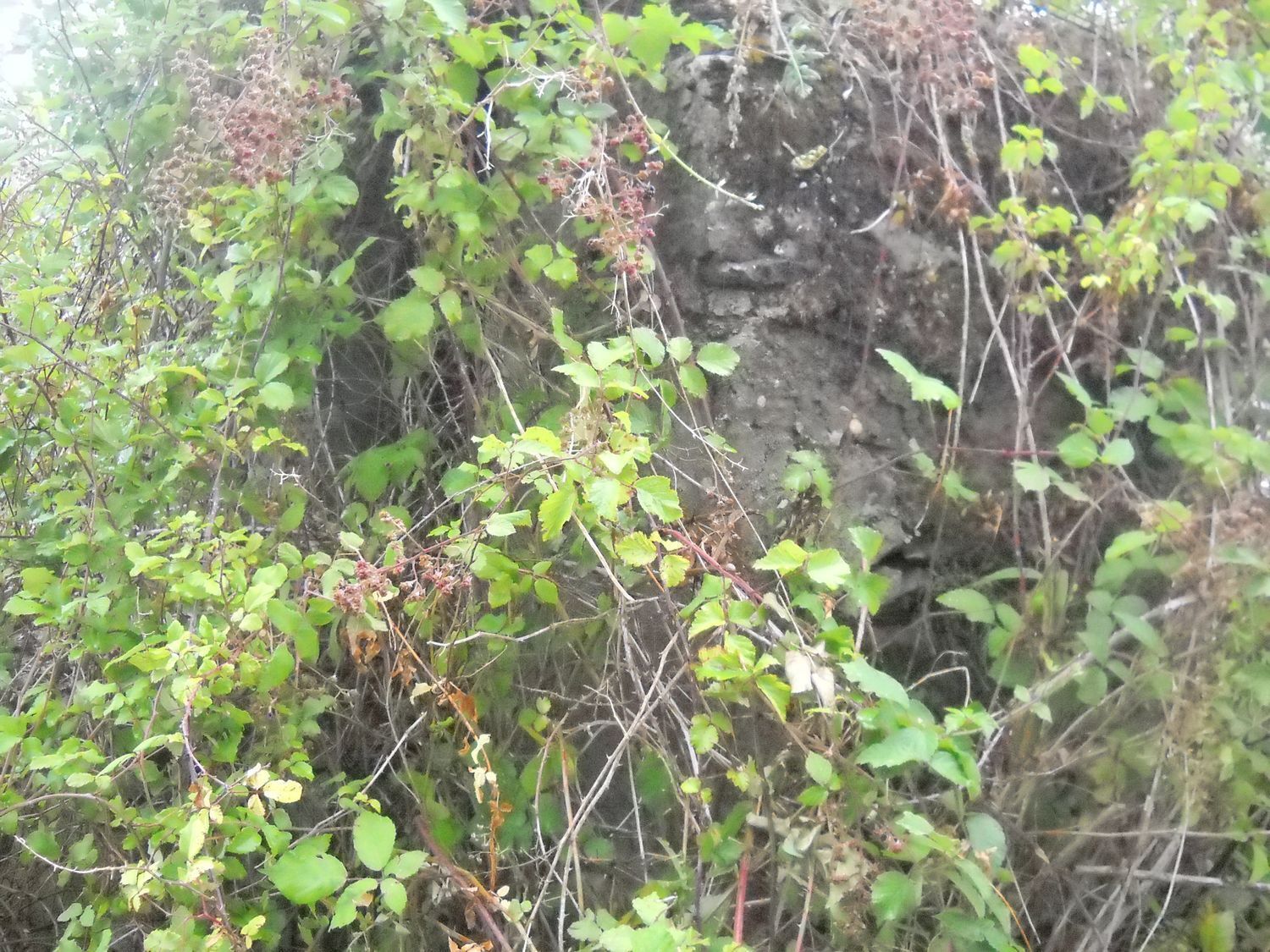 Pisos-Venta-Santiago de Compostela-2417984-Foto-11