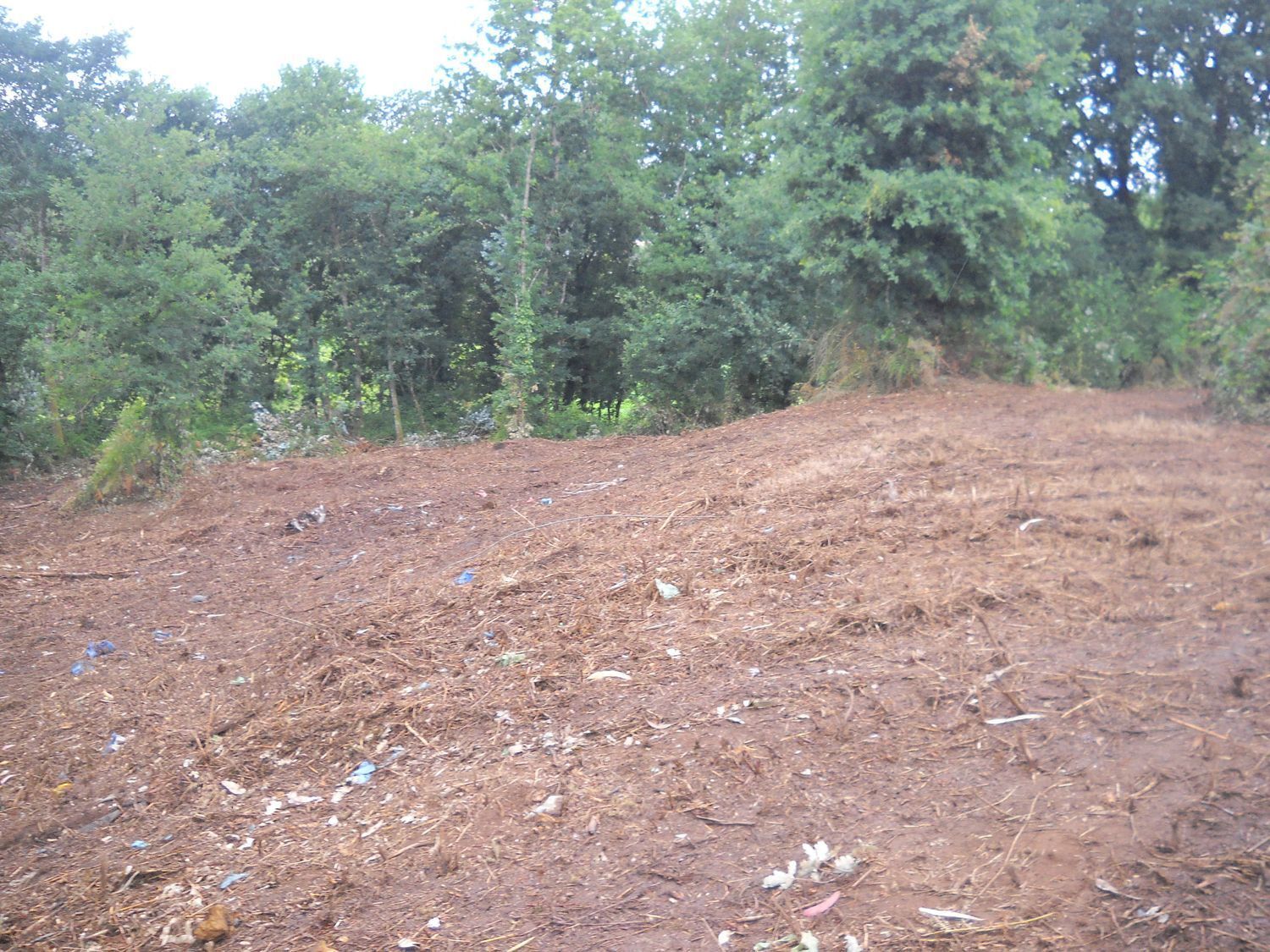 Pisos-Venta-Santiago de Compostela-2417984-Foto-15