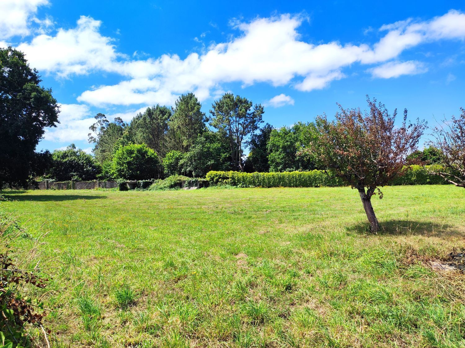 Casas o chalets-Venta-A Laracha-2417966-Foto-9