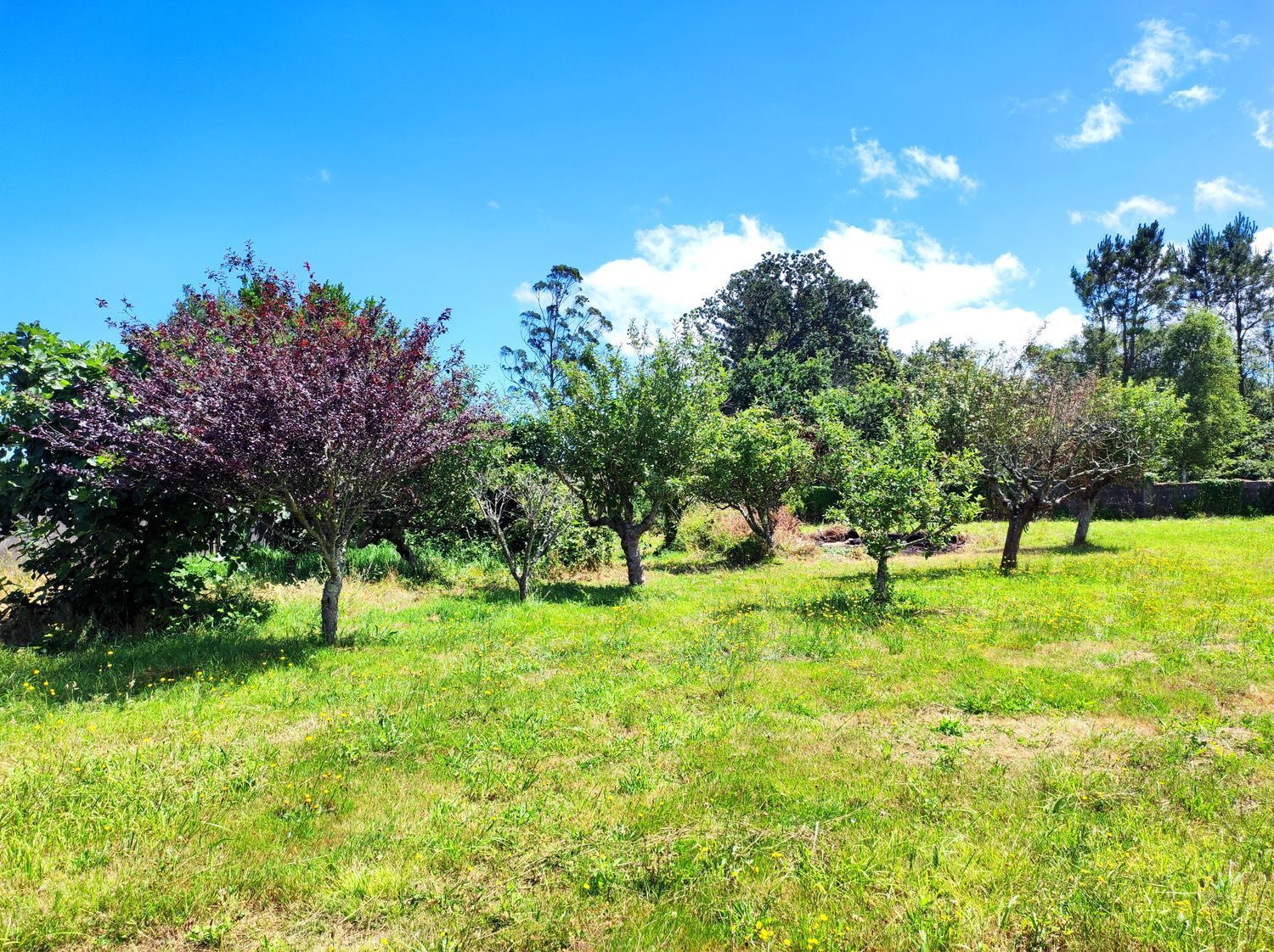 Casas o chalets-Venta-A Laracha-2417966-Foto-8