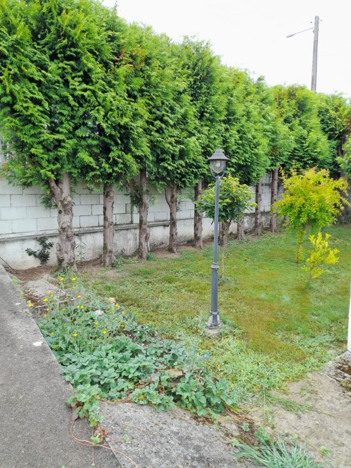 Casas o chalets-Venta-Mugardos-2418482-Foto-21