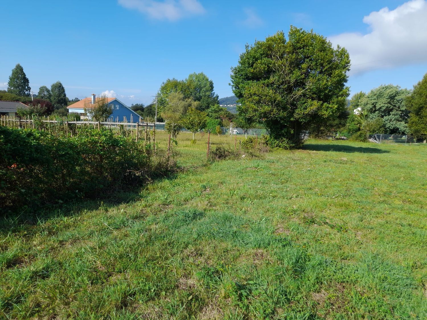 Casas o chalets-Venta-Mugardos-2418482-Foto-41