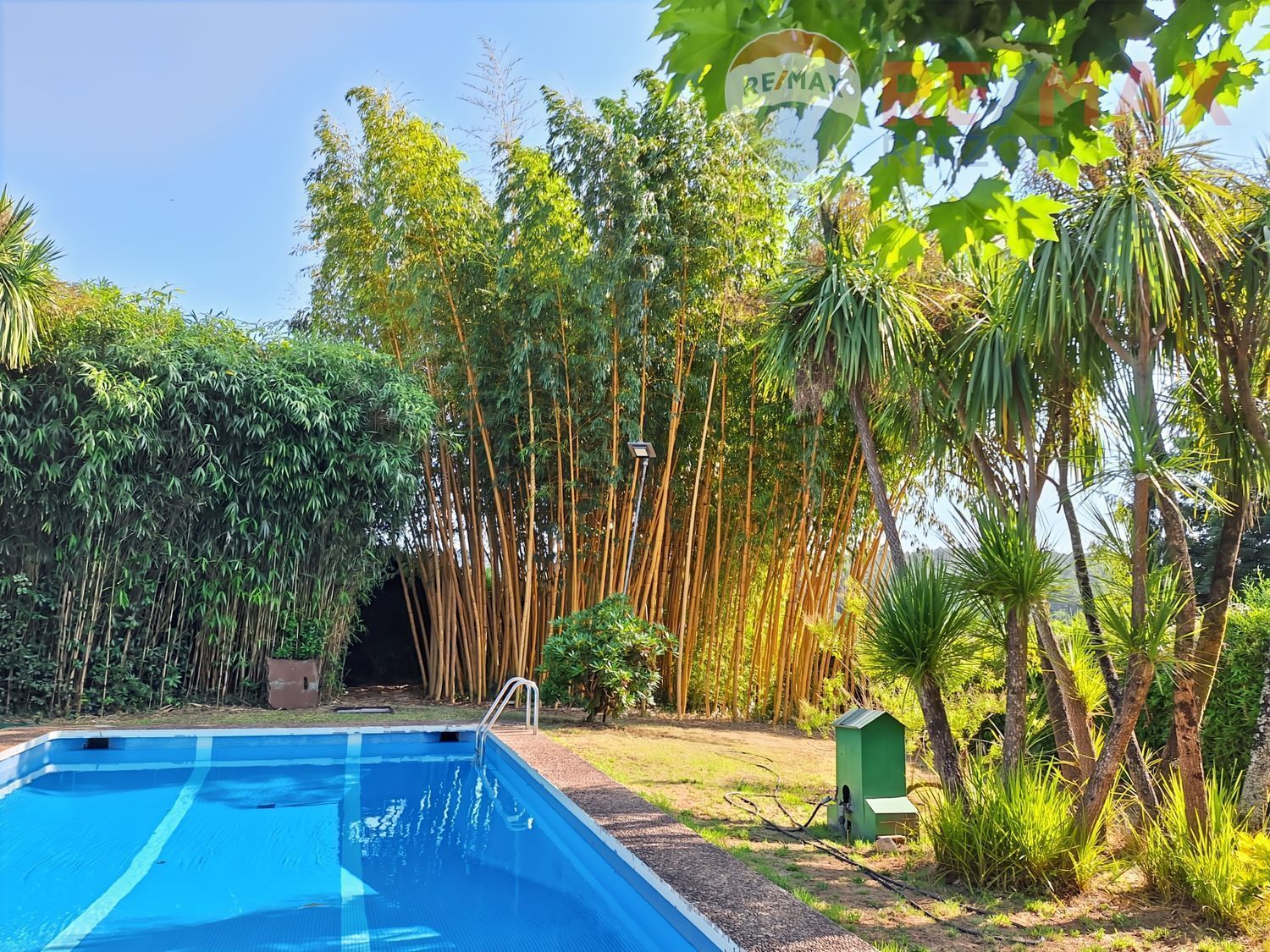 Casas o chalets-Venta-A Estrada-2418479-Foto-34