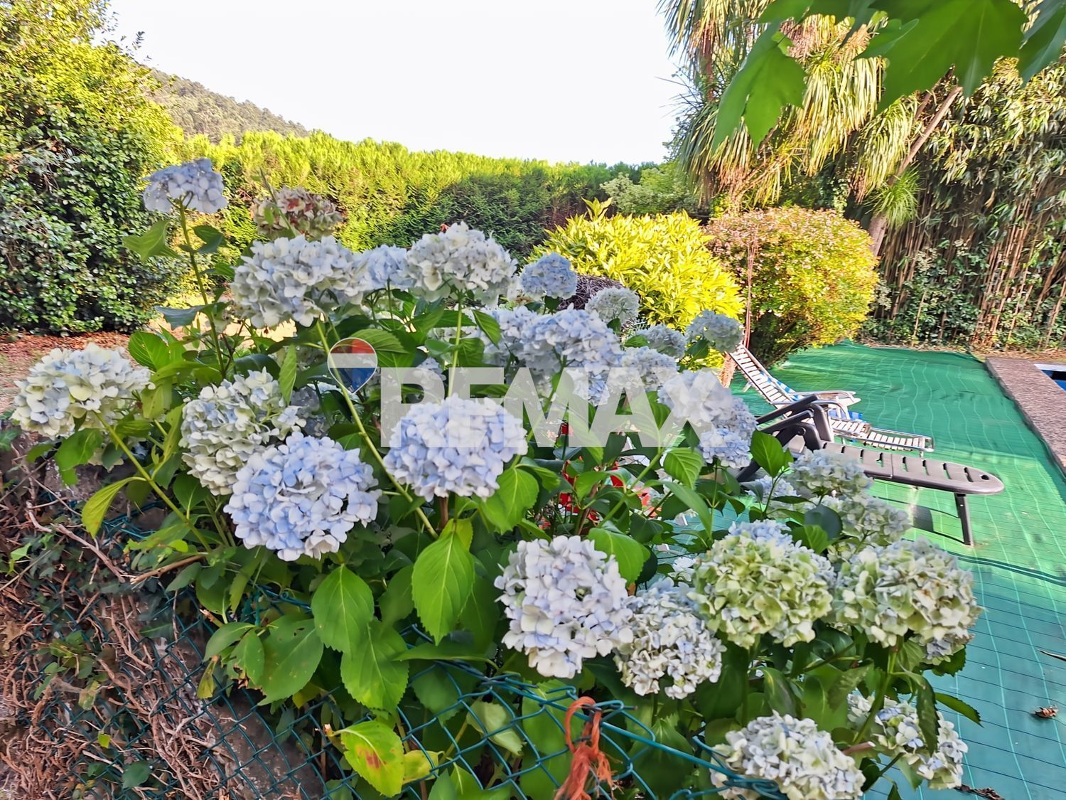 Casas o chalets-Venta-A Estrada-2418479-Foto-37