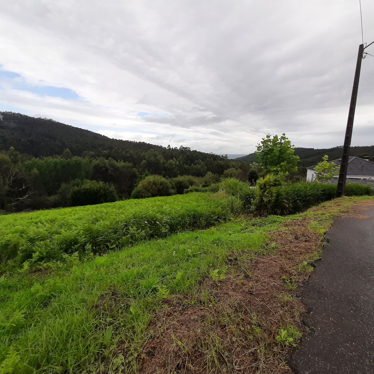 Fincas y solares-Venta-O Vicedo-2418473-Foto-2