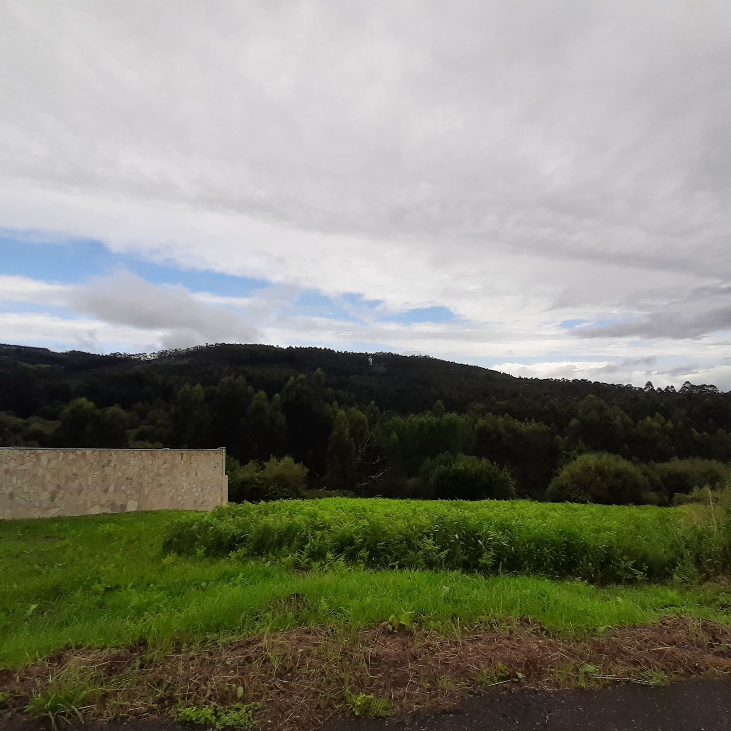 Fincas y solares-Venta-O Vicedo-2418473-Foto-8