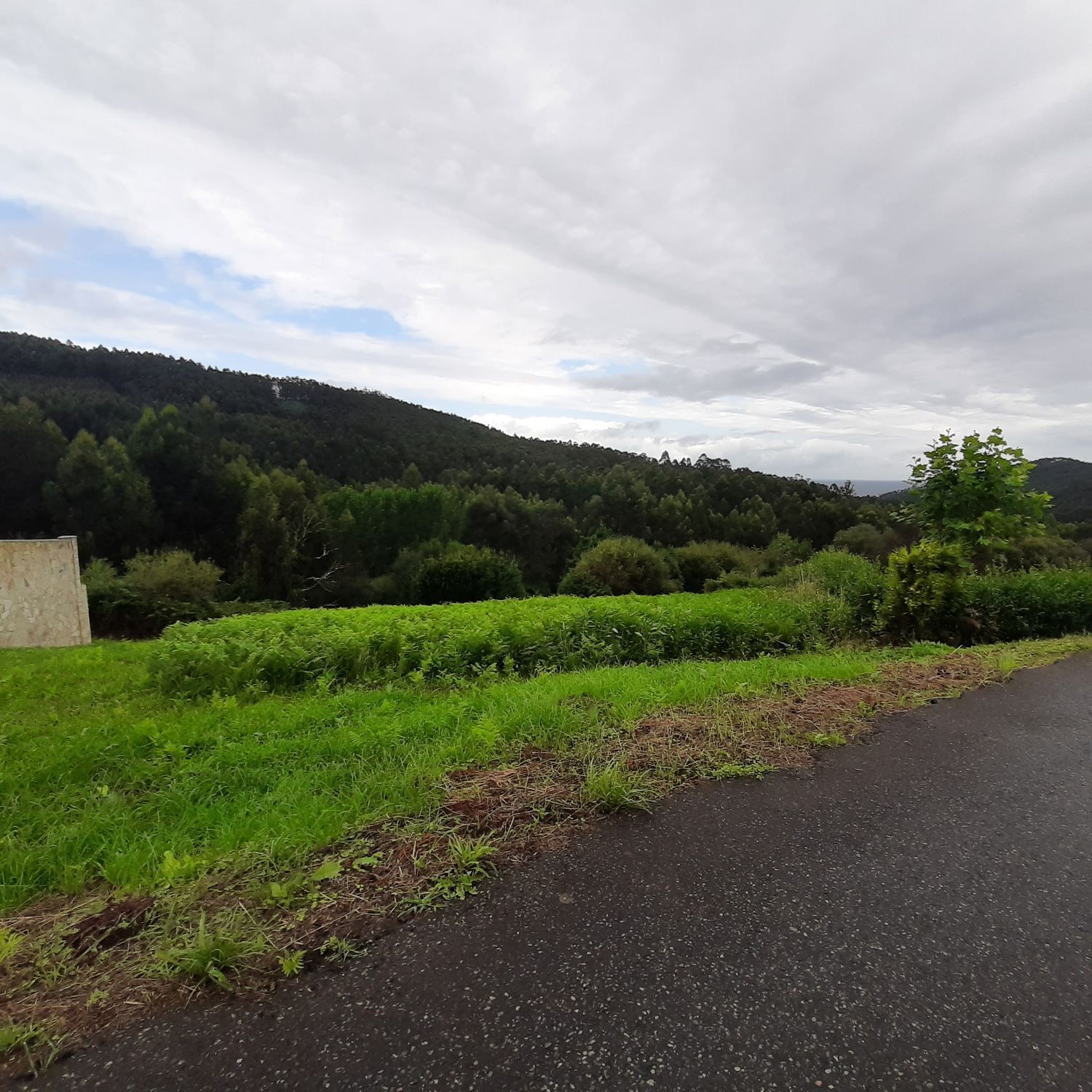 Fincas y solares-Venta-O Vicedo-2418473-Foto-7