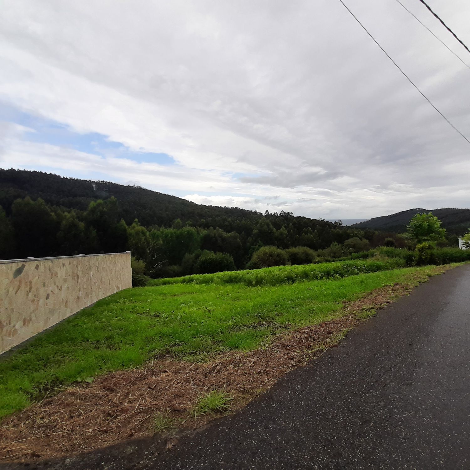 Fincas y solares-Venta-O Vicedo-2418473-Foto-10