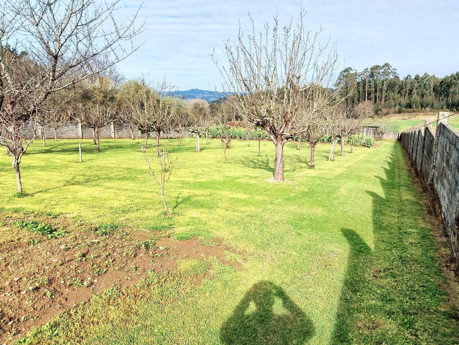 Casas o chalets-Venta-CoirÃ³s-2418467-Foto-28