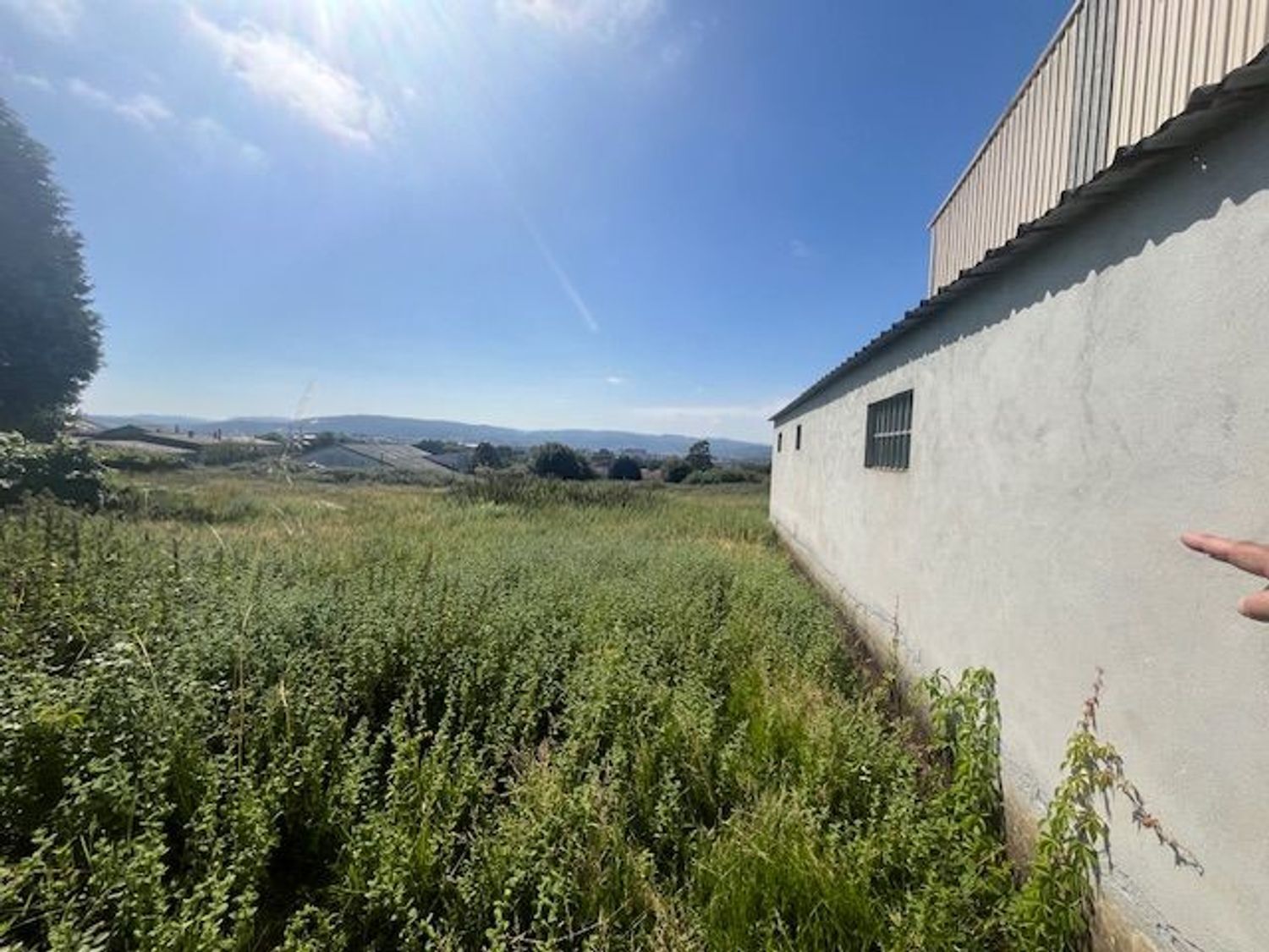Negocios-Venta-Ferrol-2418464-Foto-16