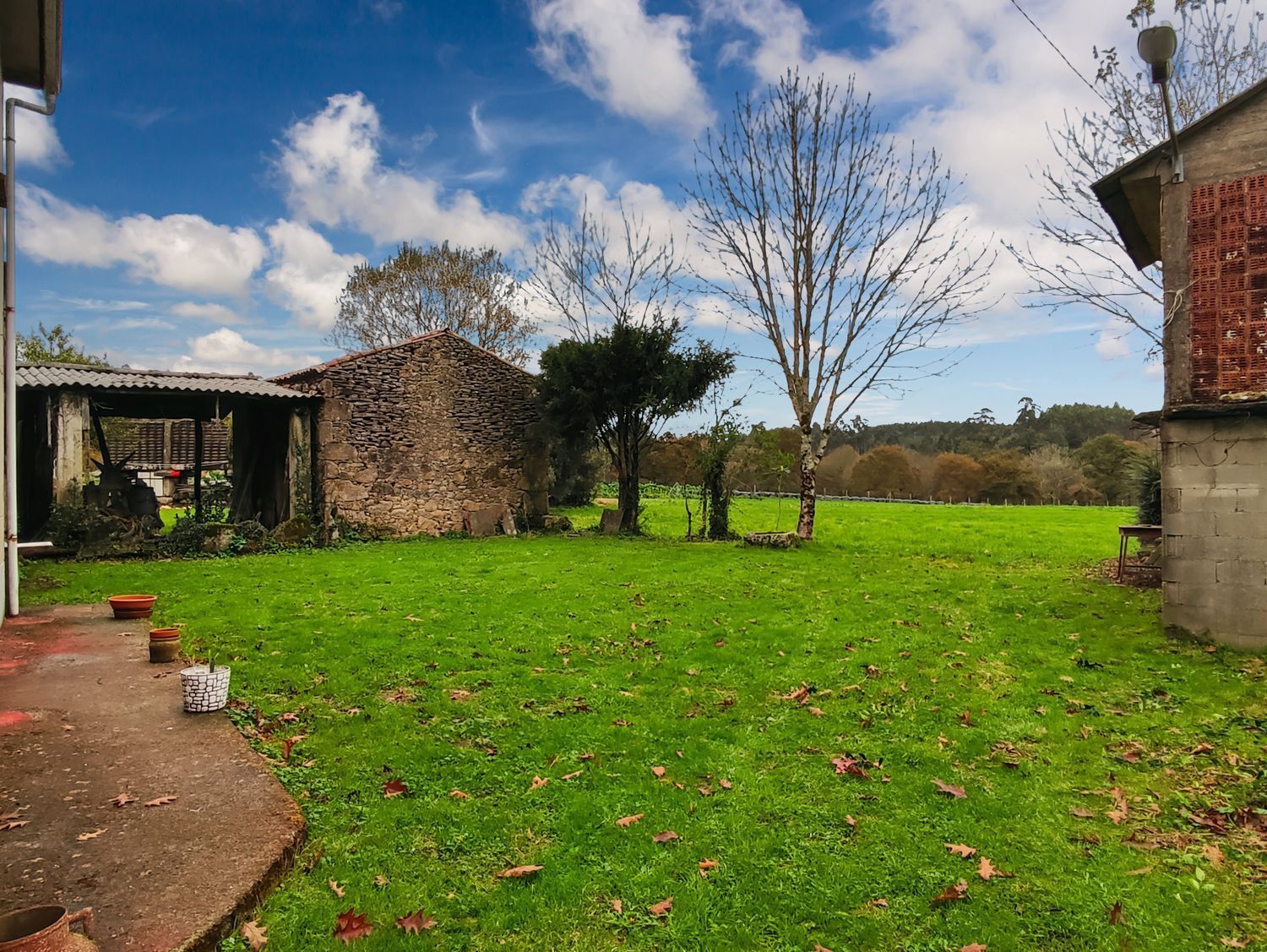 Casas o chalets-Venta-Cerceda-2418443-Foto-24