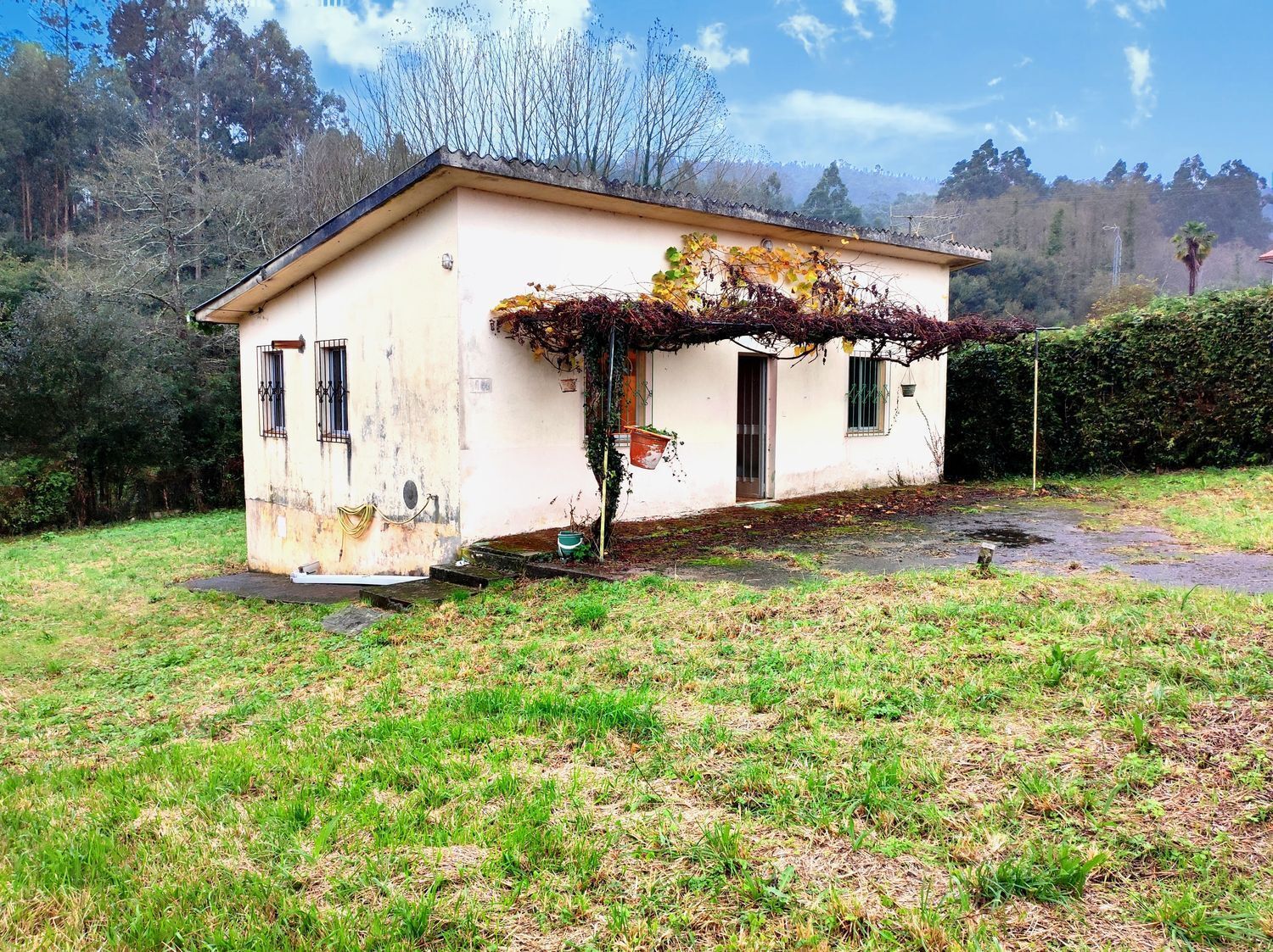 Casas o chalets-Venta-2418434