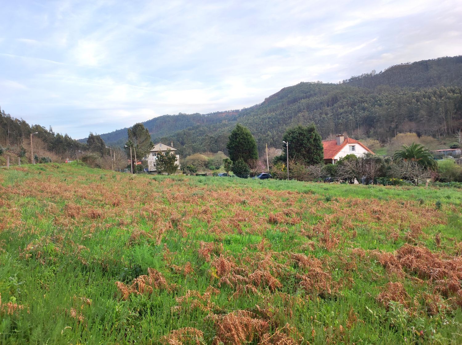 Fincas y solares-Venta-Arteixo-2418416-Foto-5