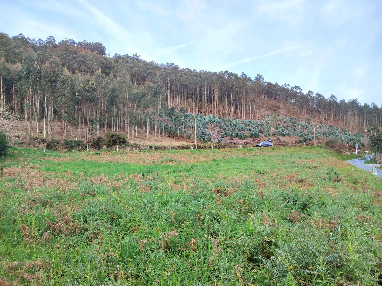 Fincas y solares-Venta-Arteixo-2418416-Foto-7