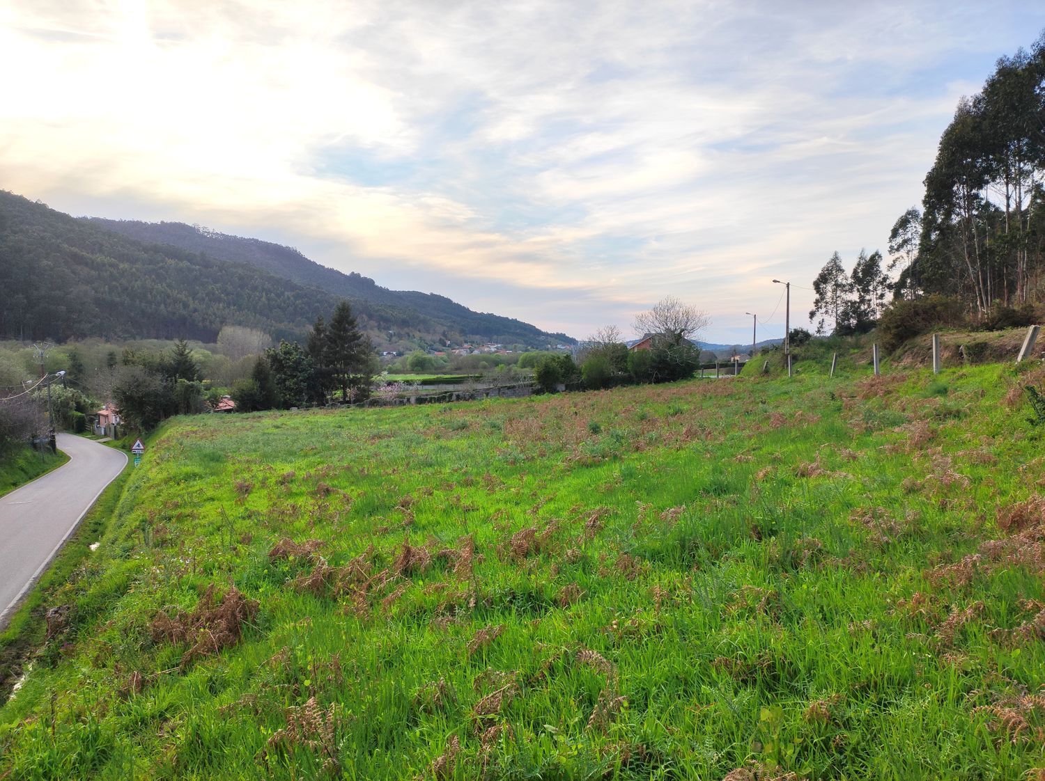 Fincas y solares-Venta-Arteixo-2418416-Foto-8