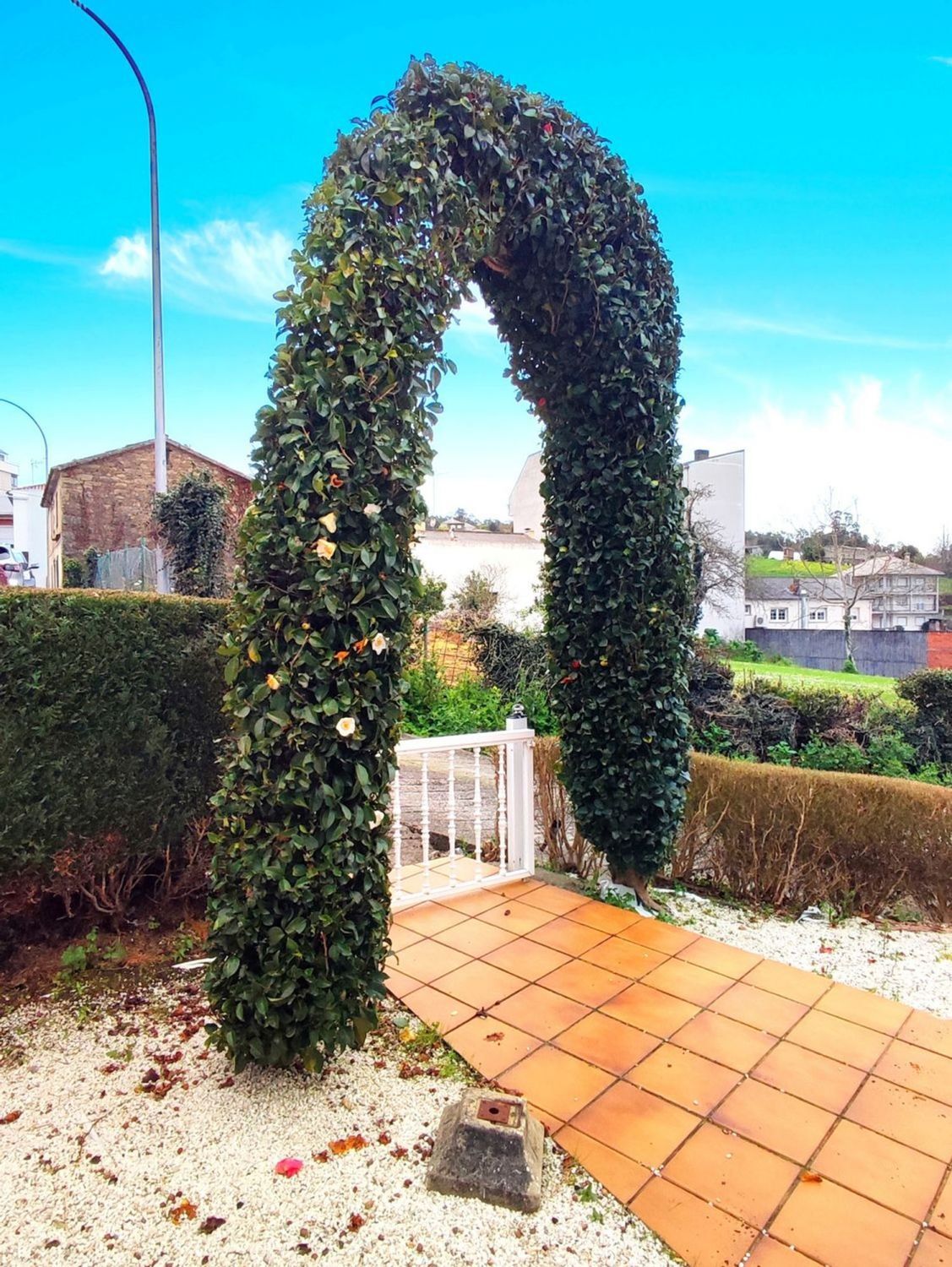 Casas o chalets-Venta-Carral-2418398-Foto-41