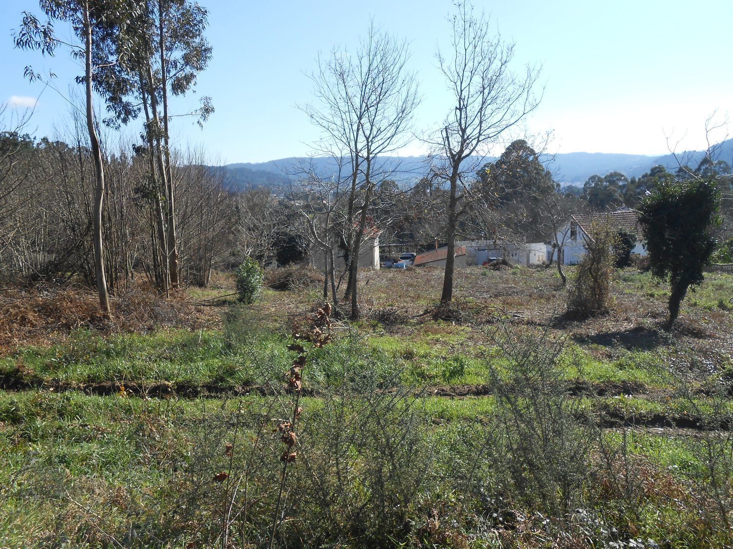 Fincas y solares-Venta-El Hoyo de Pinares-2418395-Foto-3