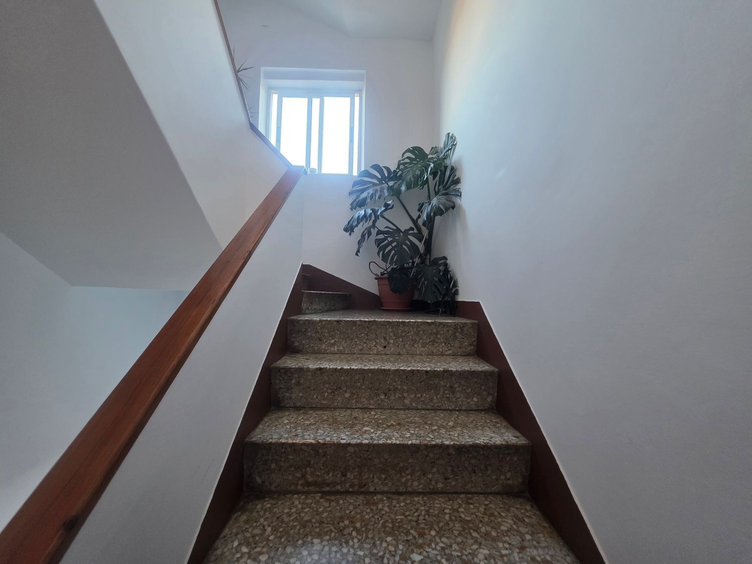 Pisos-Venta-Santiago de Compostela-2418500-Foto-29