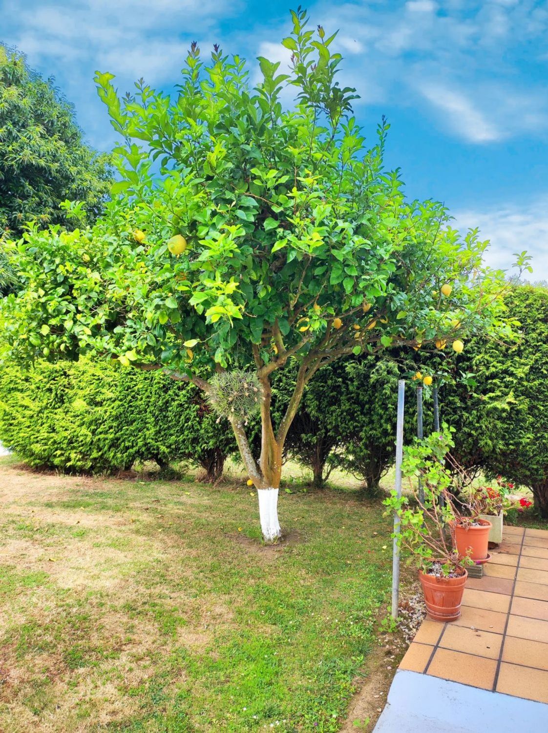 Casas o chalets-Venta-Sada-2418509-Foto-75