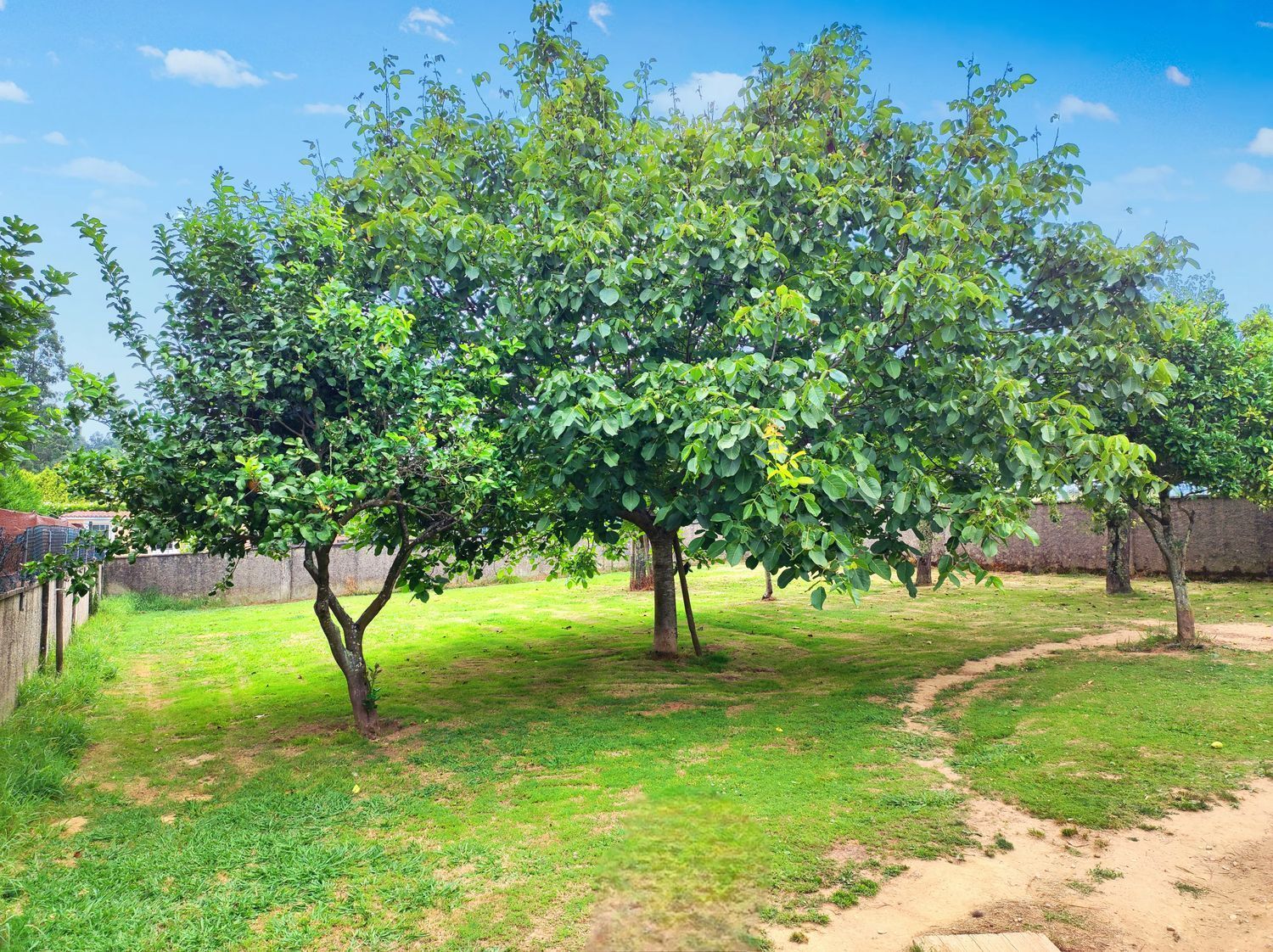 Casas o chalets-Venta-Sada-2418509-Foto-76