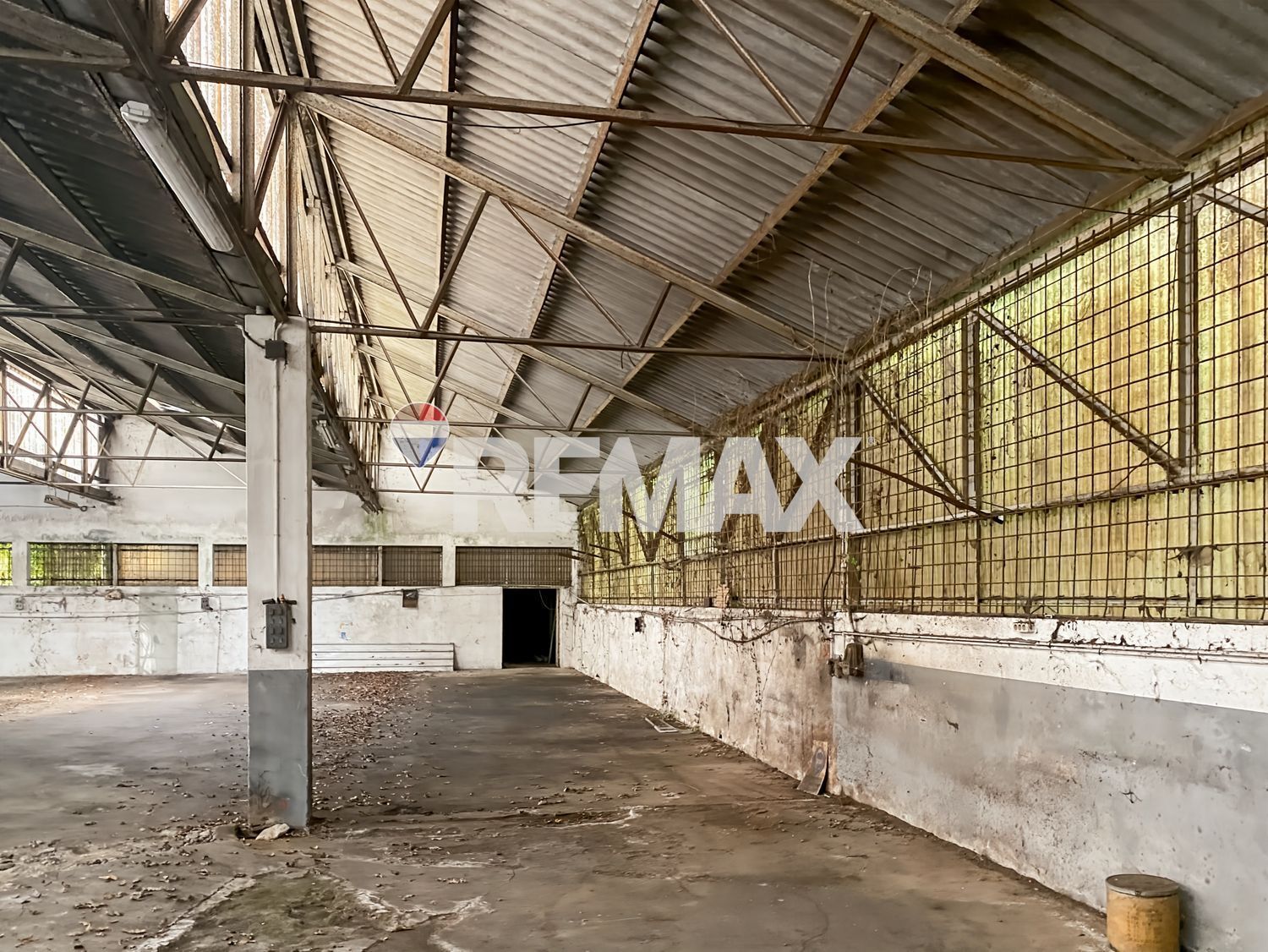 Negocios-Venta-PadrÃ³n-2418554-Foto-8