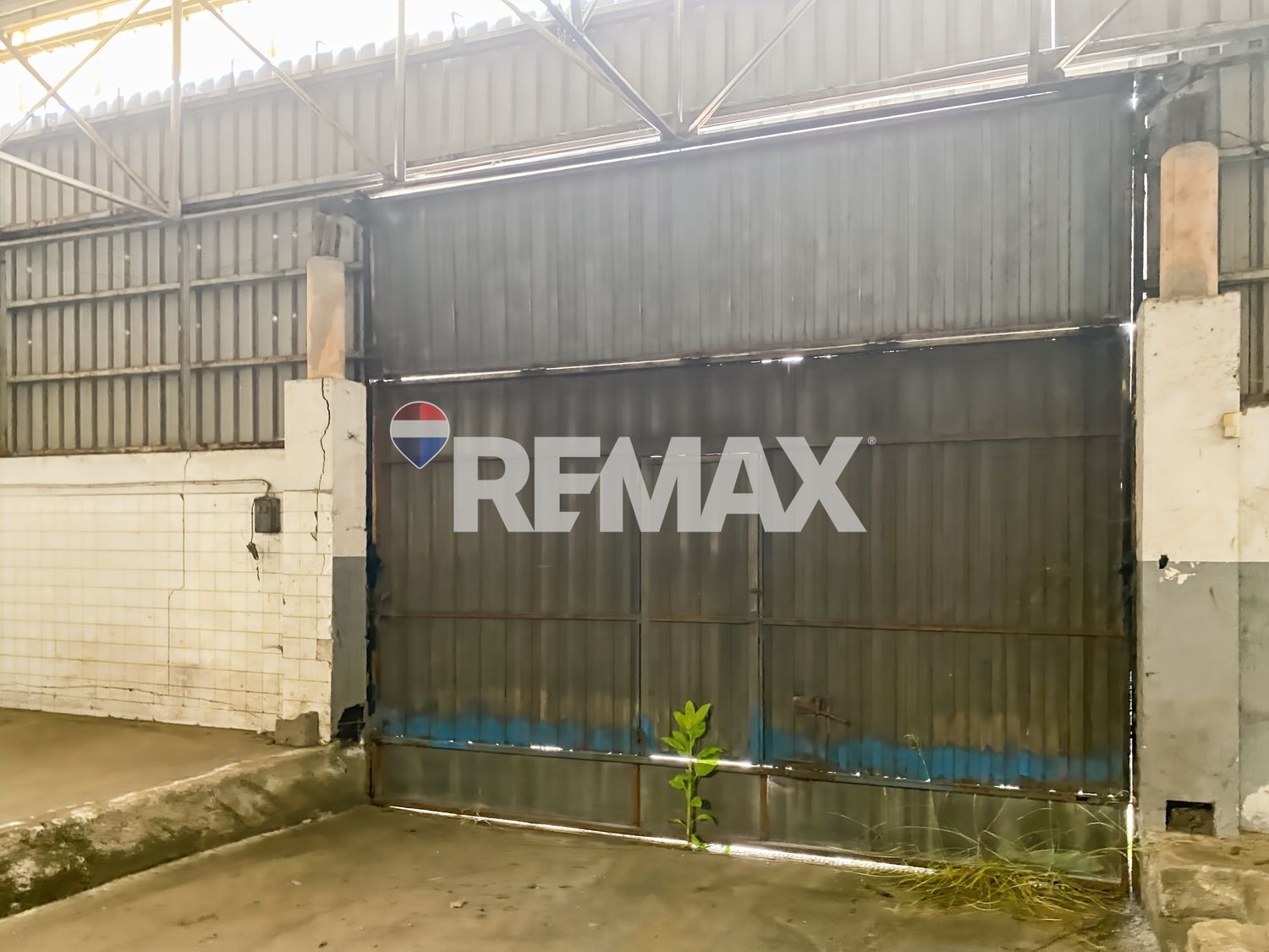 Negocios-Venta-PadrÃ³n-2418554-Foto-29