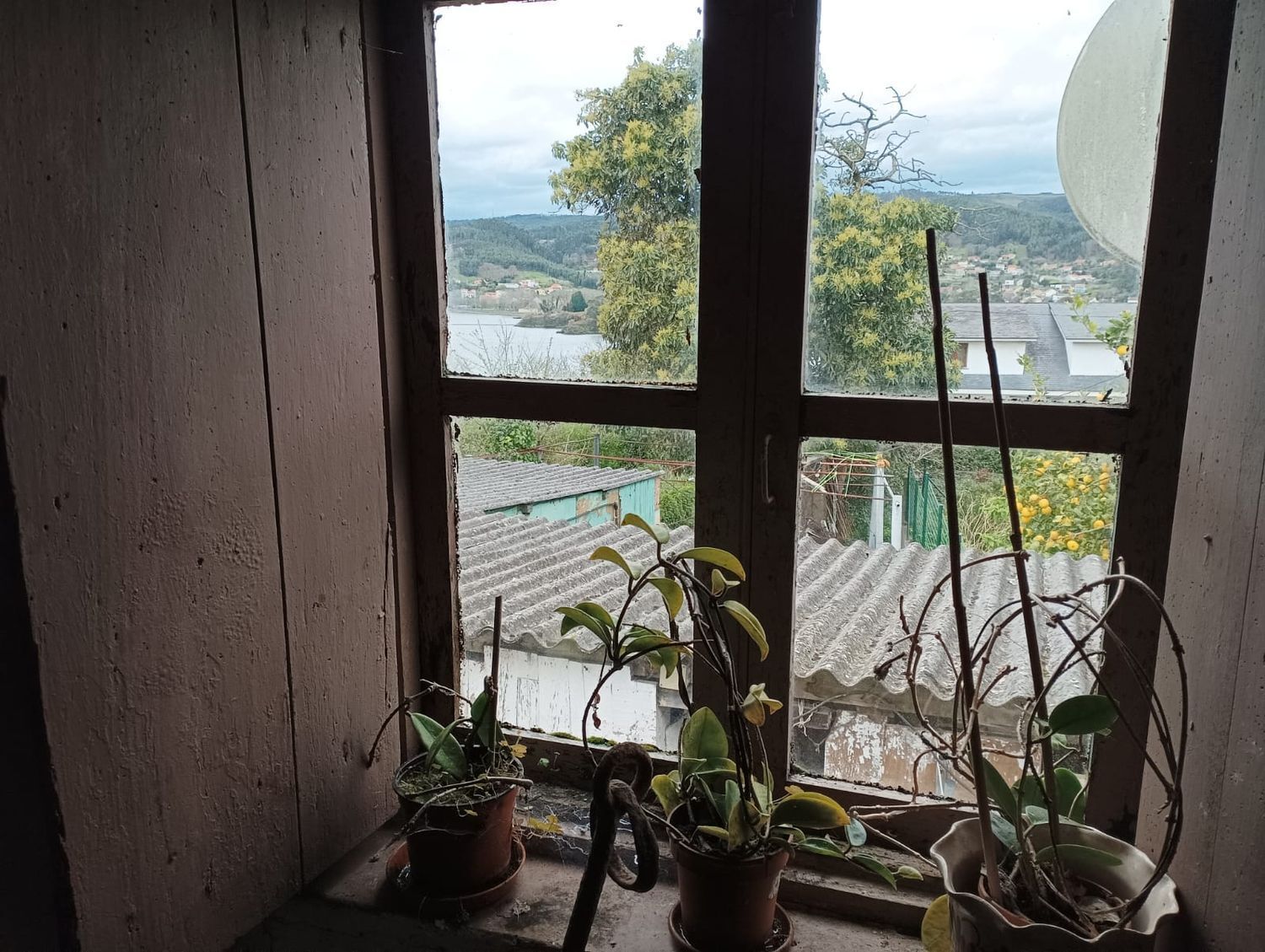 Pisos-Venta-Ferrol-2418584-Foto-4