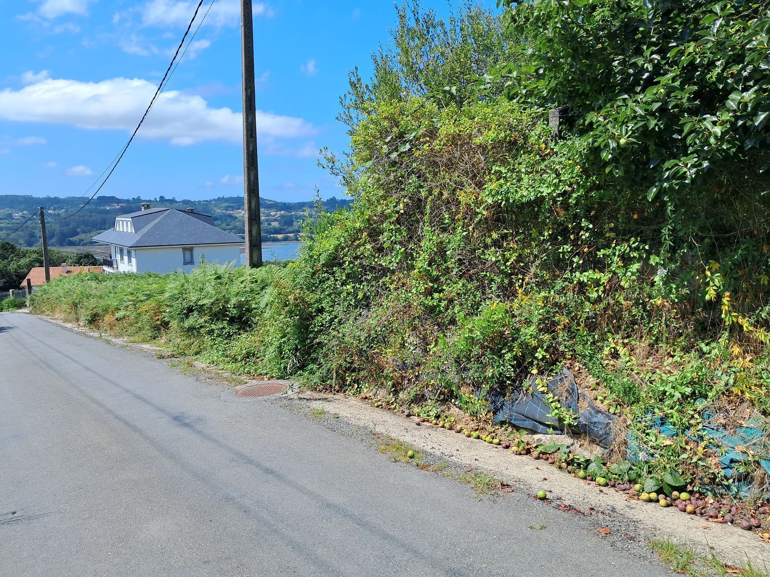Terreno en venta en calle Lg Souto, Poligono 2 Parcela 1011, A Rega, 0,  Paderne, A Coruña 10/12