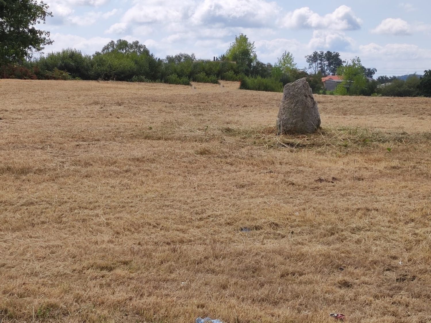 Fincas y solares-Venta-Ribeira-2418608-Foto-2