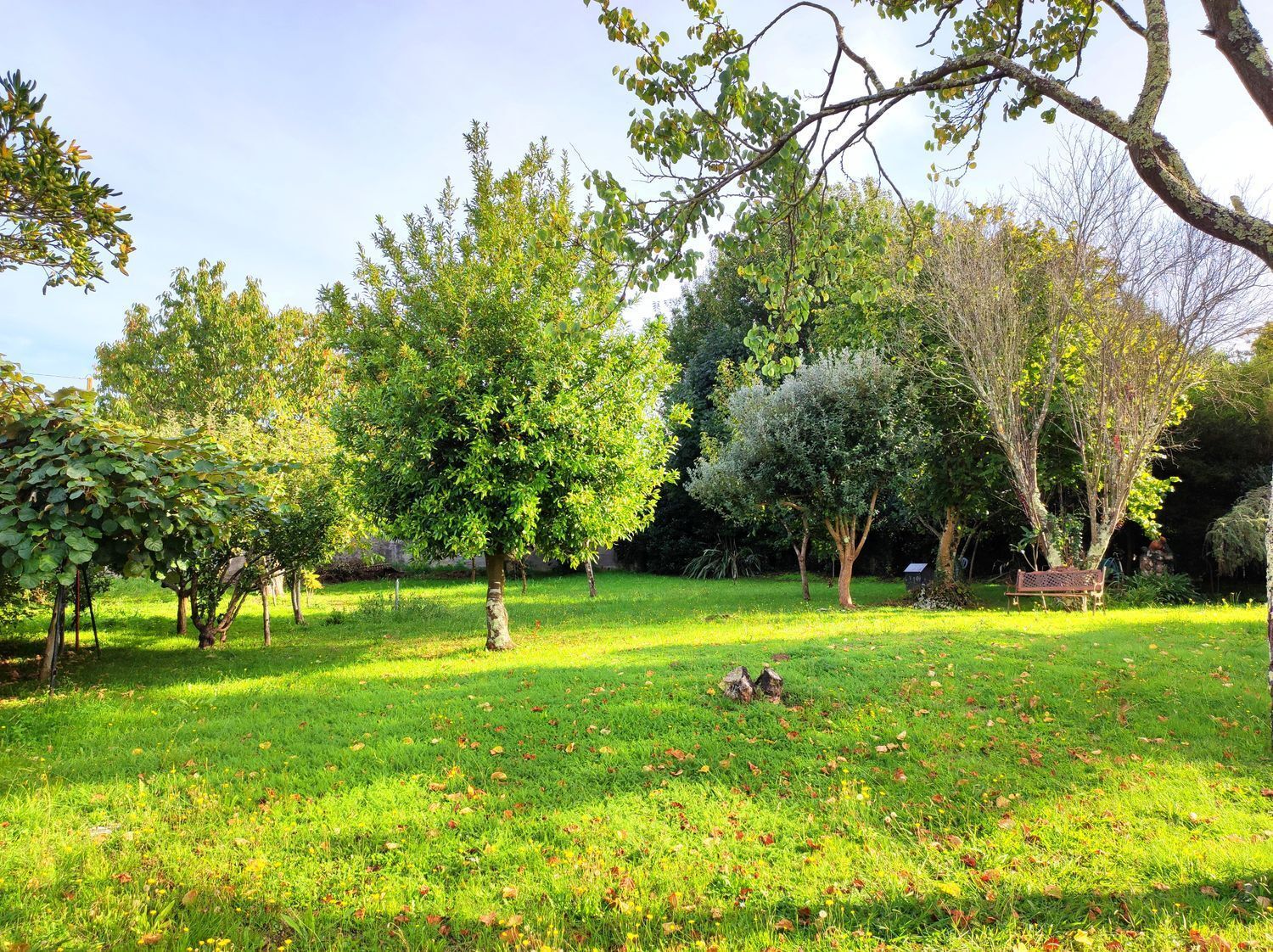 Casas o chalets-Venta-Sada-2418626-Foto-7