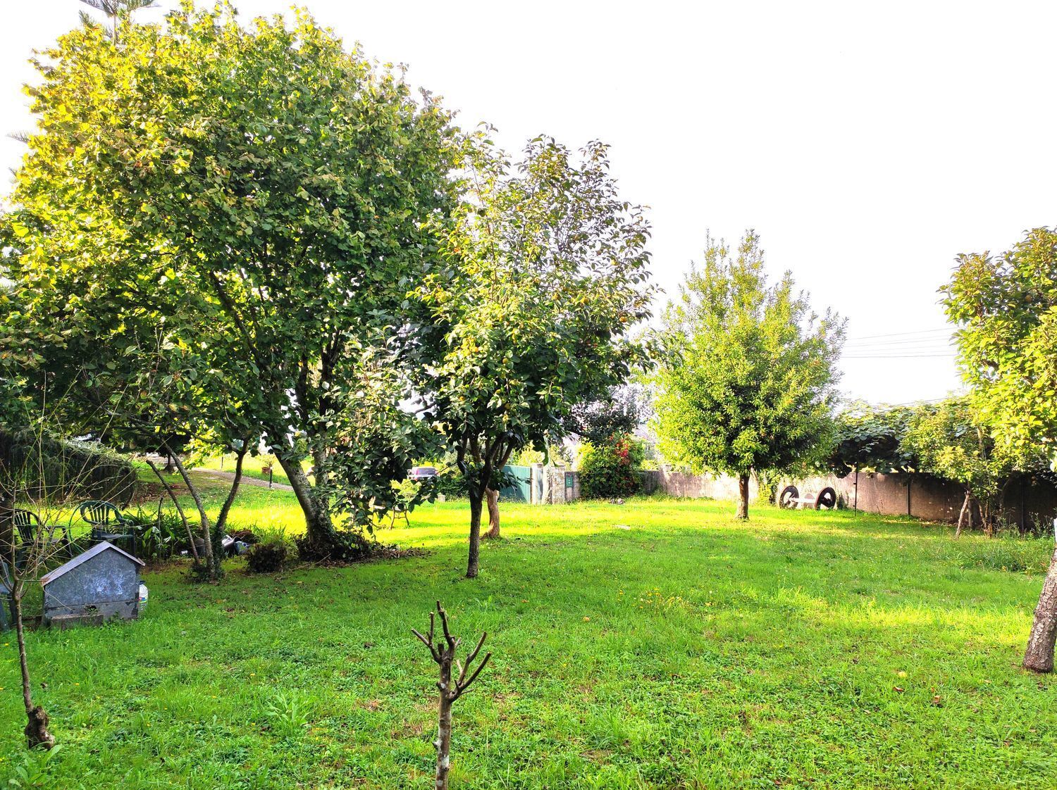 Casas o chalets-Venta-Sada-2418626-Foto-9