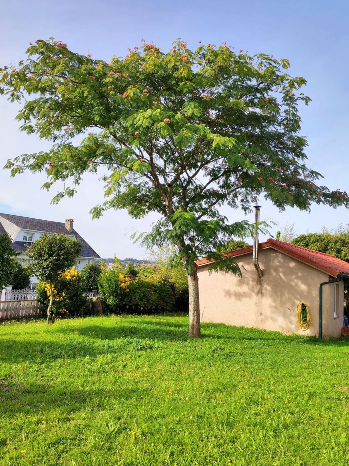 Casas o chalets-Venta-Sada-2418626-Foto-15