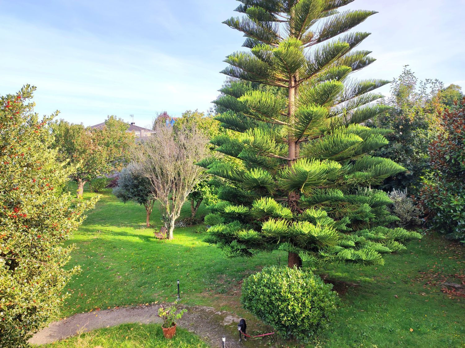 Casas o chalets-Venta-Sada-2418626-Foto-57