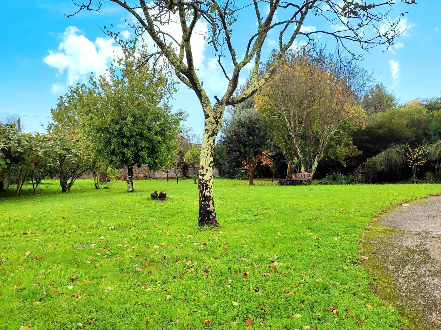 Casas o chalets-Venta-Sada-2418626-Foto-108
