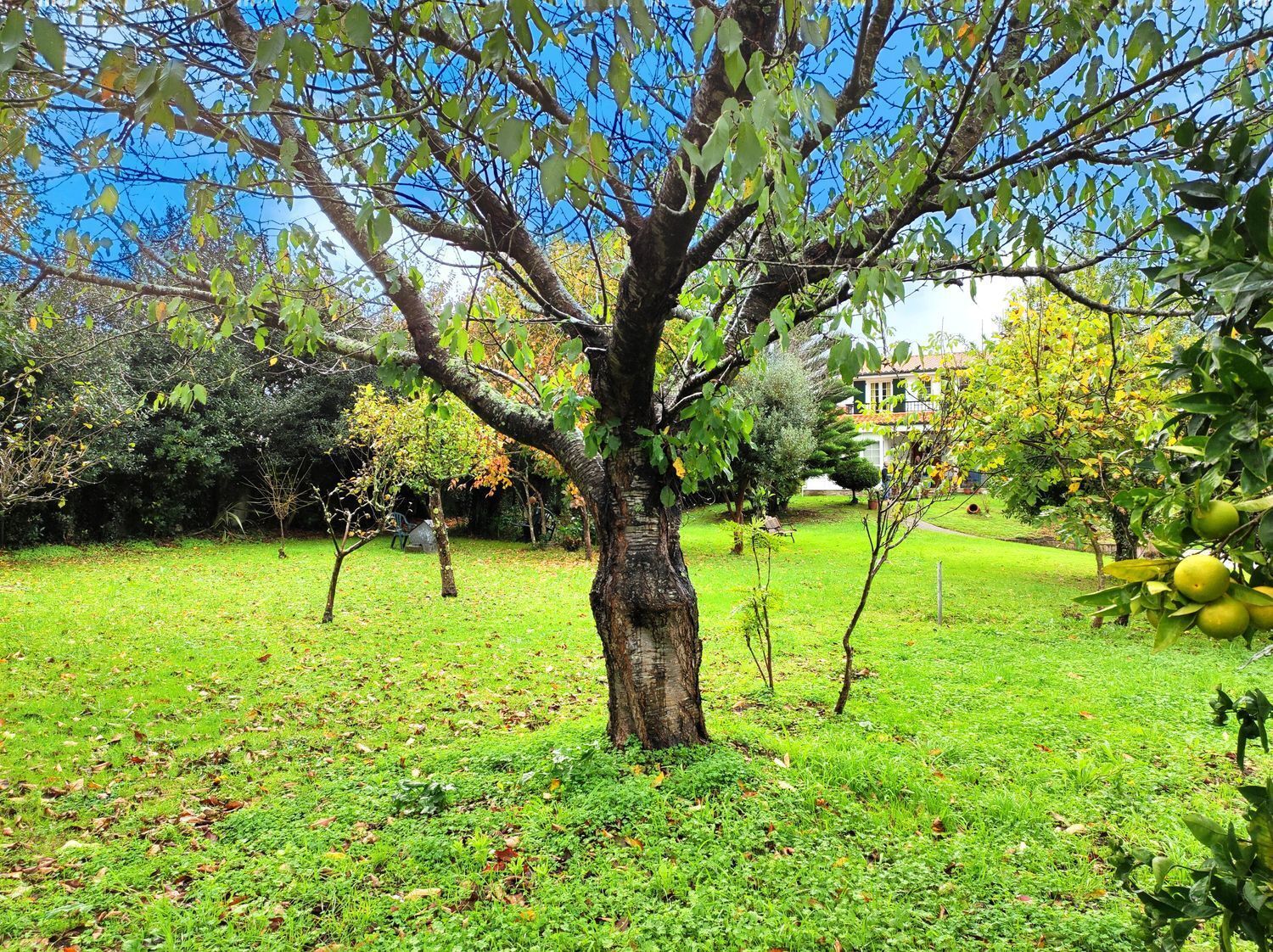 Casas o chalets-Venta-Sada-2418626-Foto-114