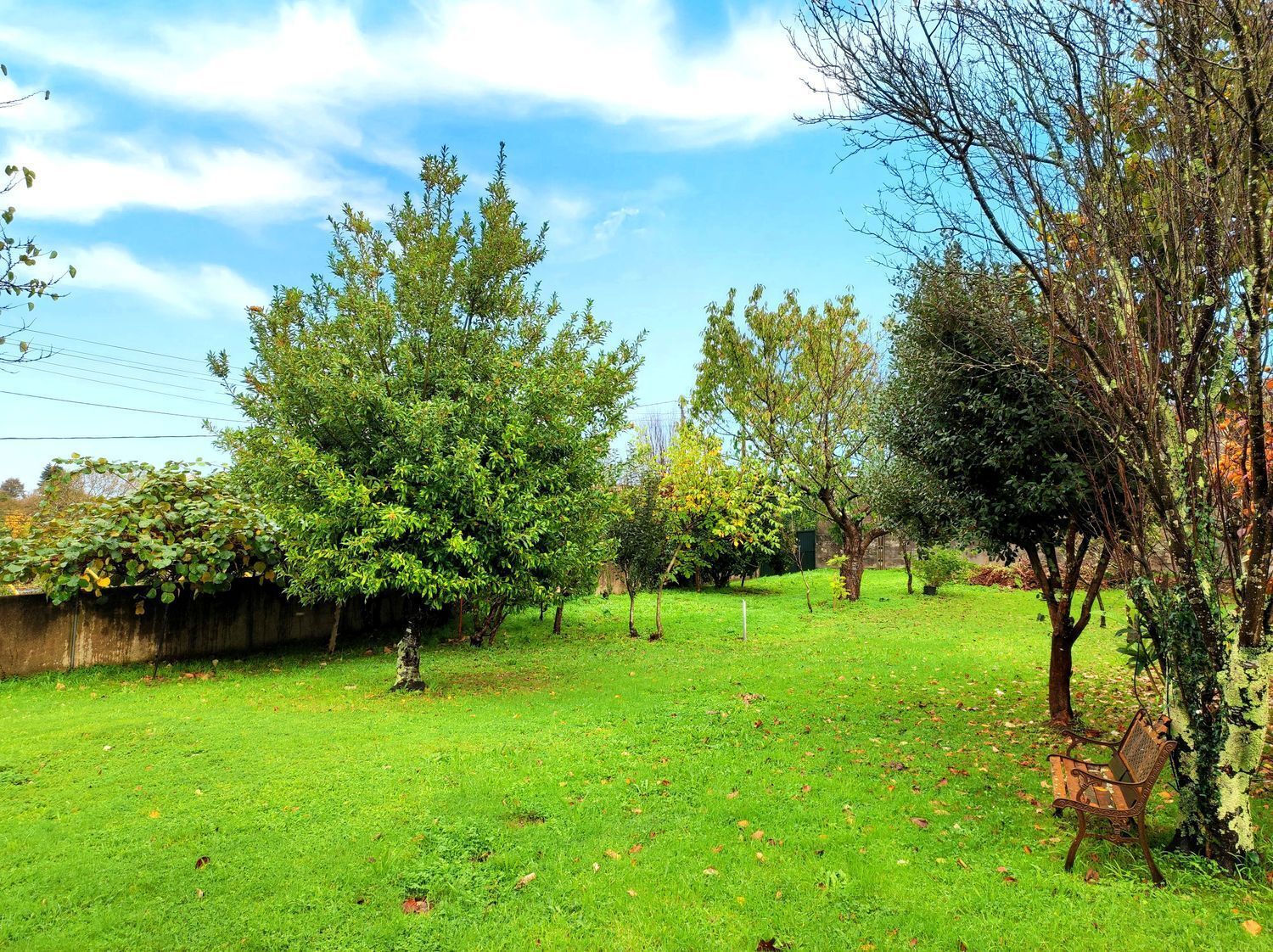 Casas o chalets-Venta-Sada-2418626-Foto-113