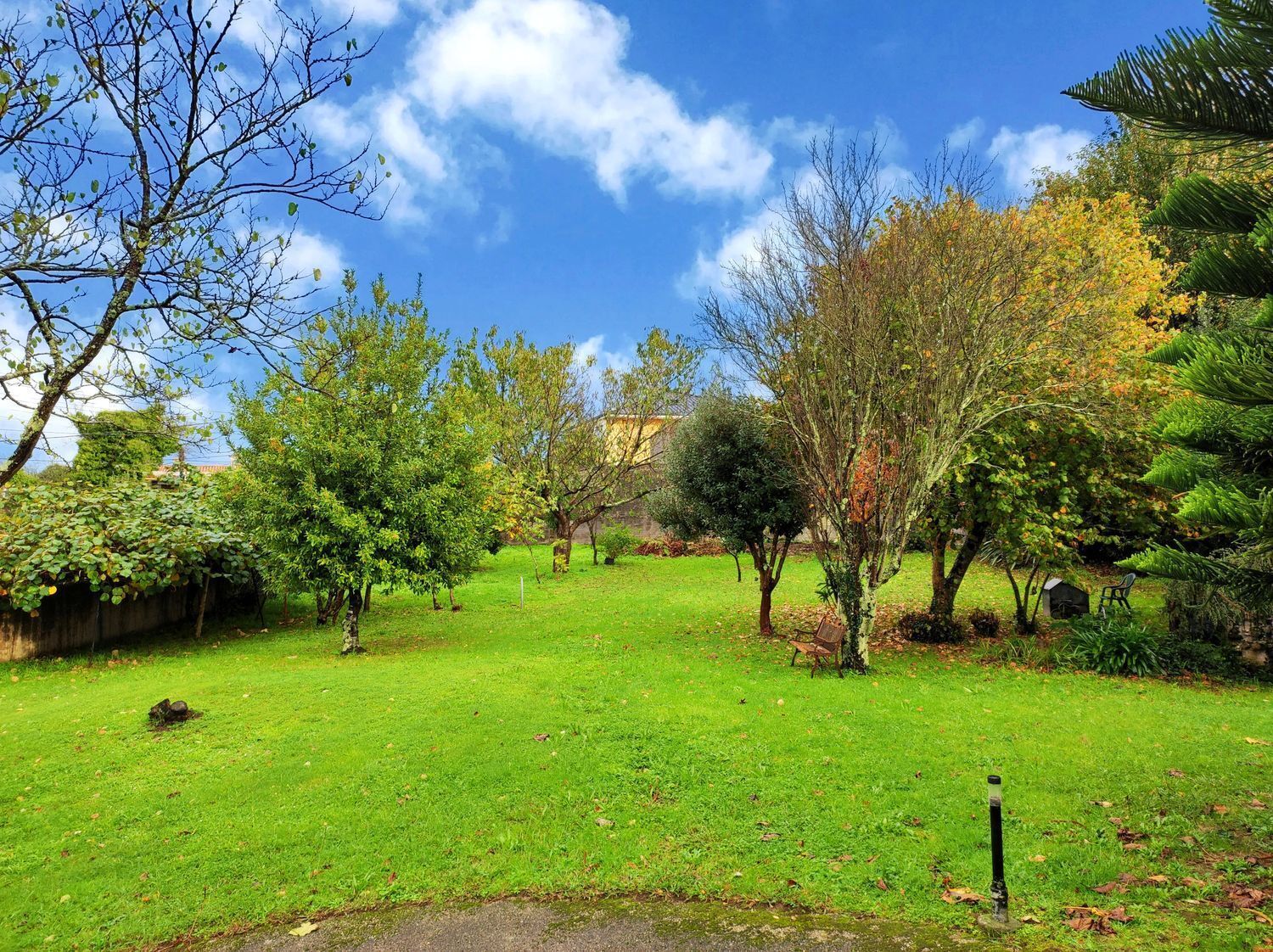 Casas o chalets-Venta-Sada-2418626-Foto-111