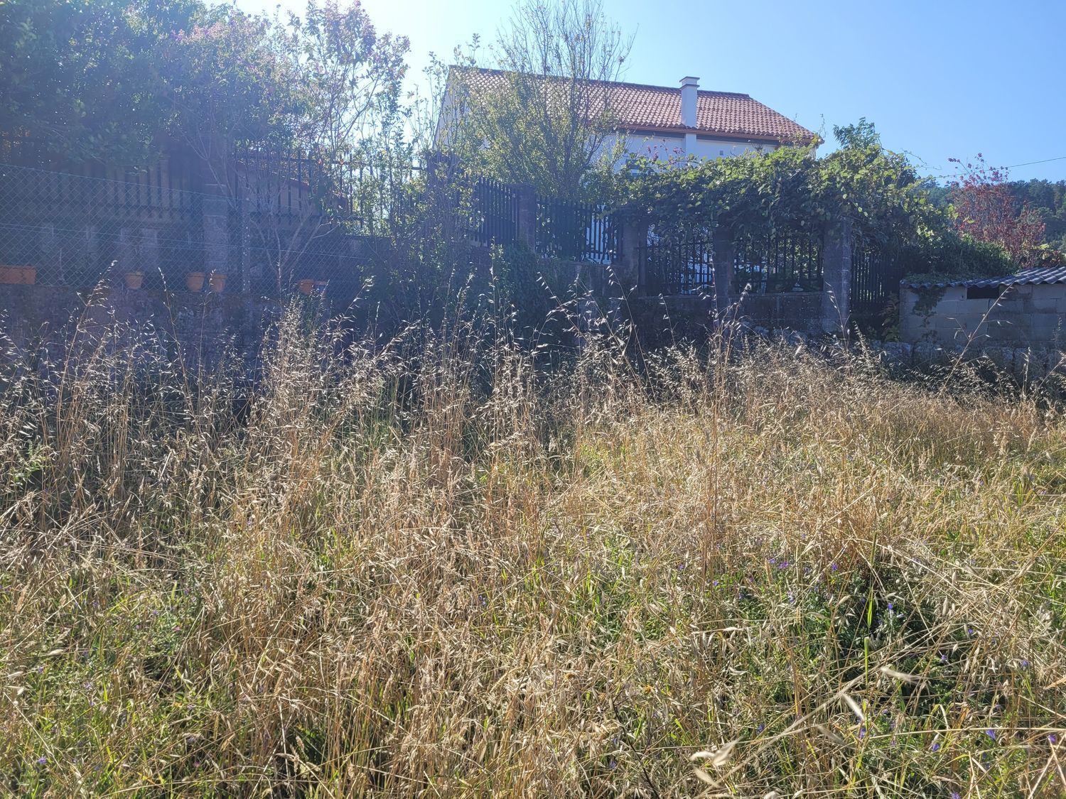 Casas o chalets-Venta-Muros-2418638-Foto-10