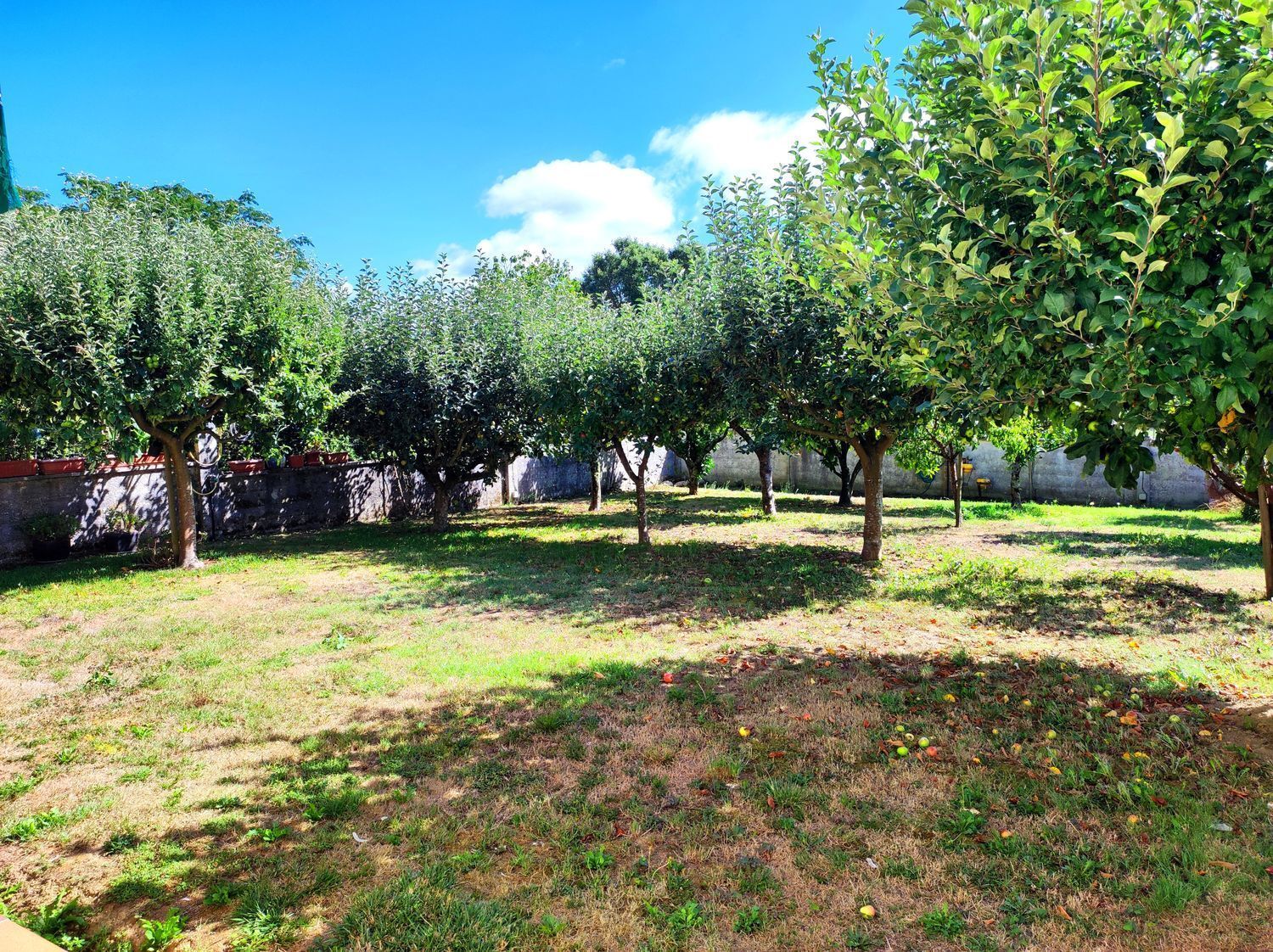 Casas o chalets-Venta-Bergondo-2418644-Foto-23