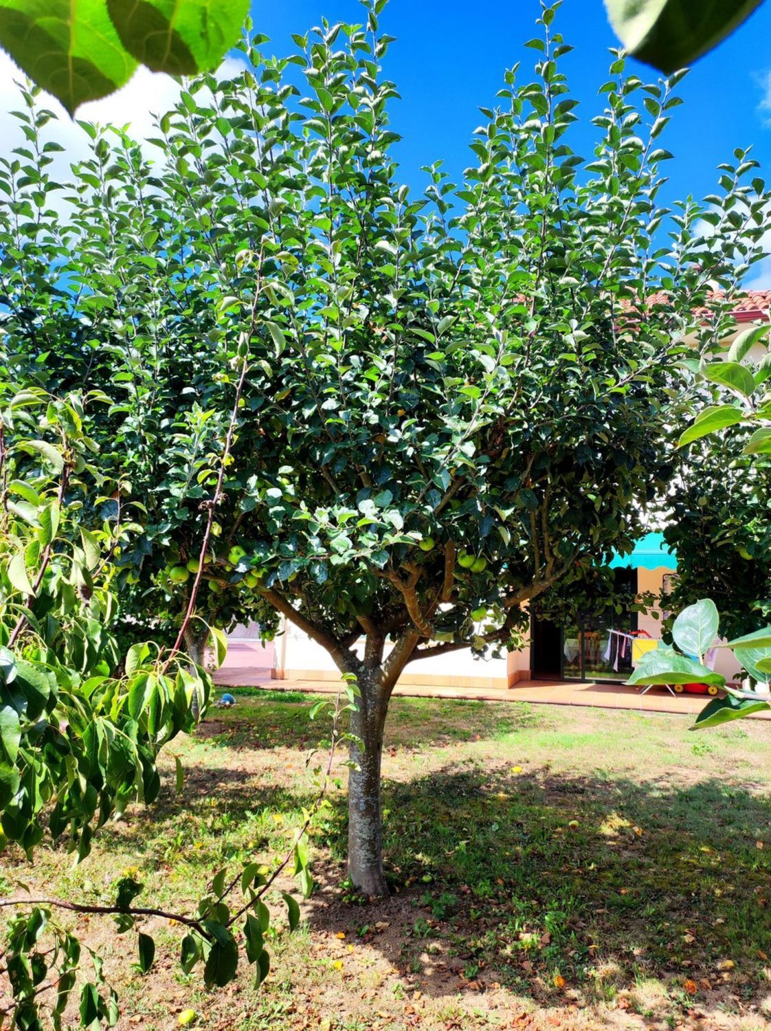 Casas o chalets-Venta-Bergondo-2418644-Foto-78