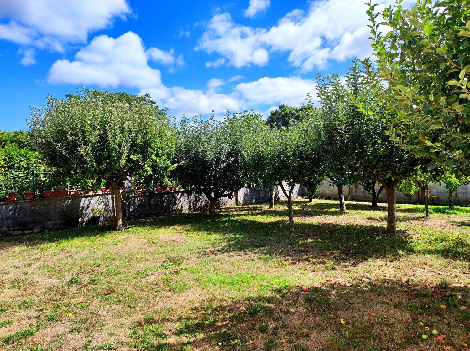 Casas o chalets-Venta-Bergondo-2418644-Foto-80