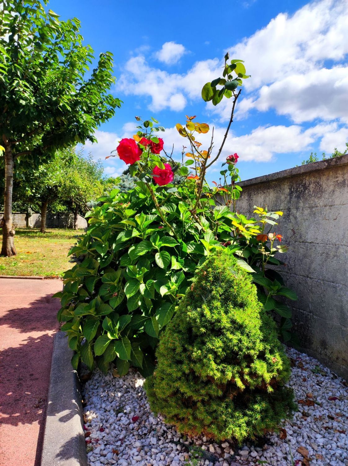 Casas o chalets-Venta-Bergondo-2418644-Foto-82