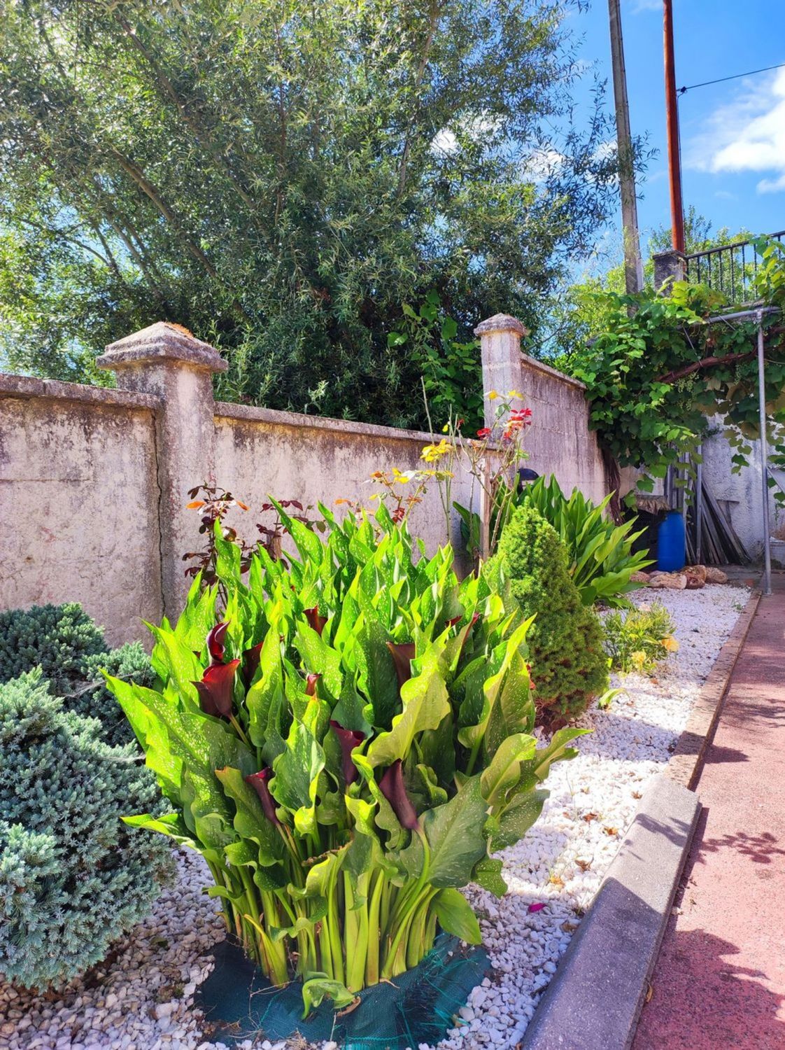Casas o chalets-Venta-Bergondo-2418644-Foto-83