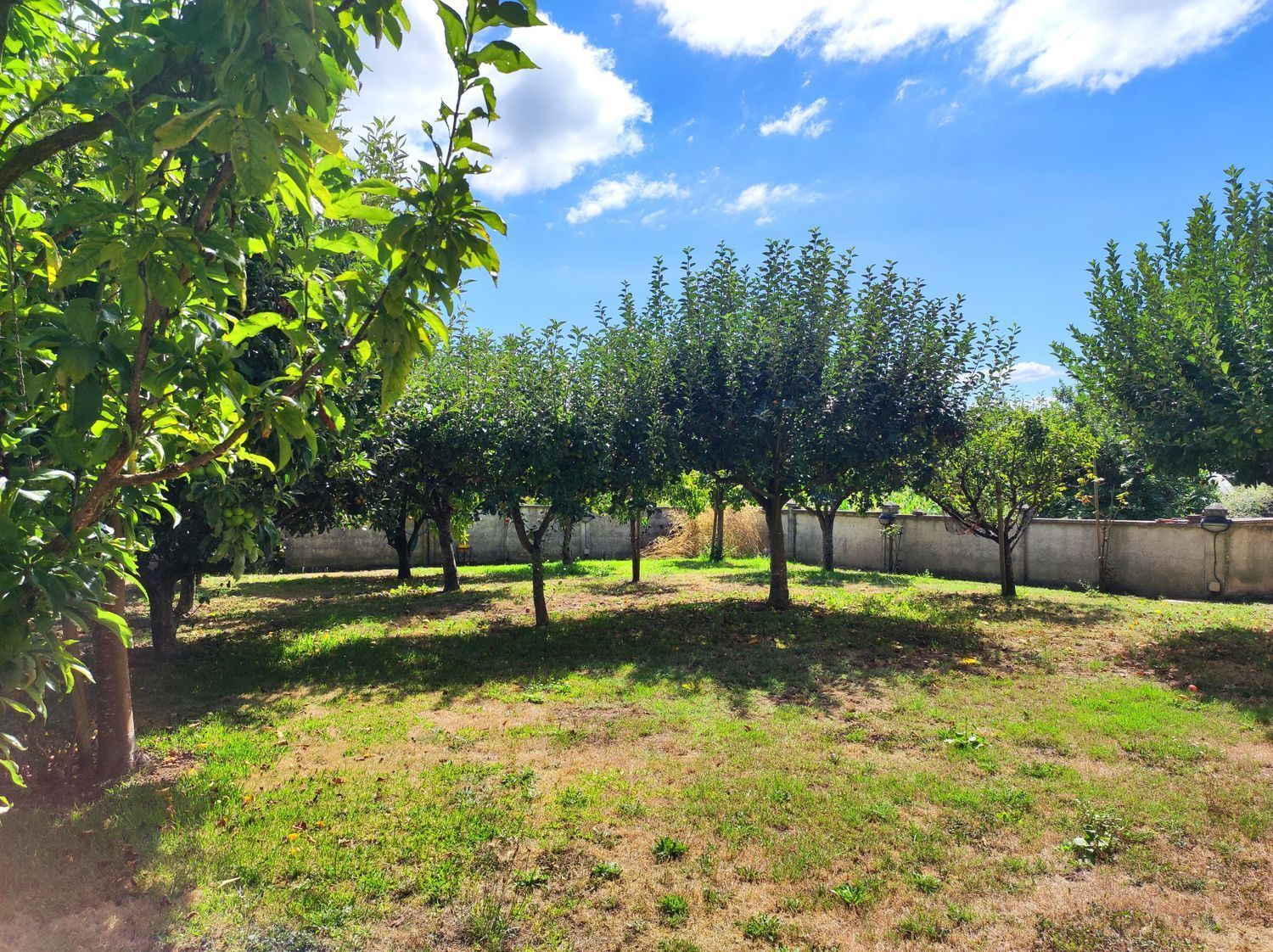 Casas o chalets-Venta-Bergondo-2418644-Foto-84