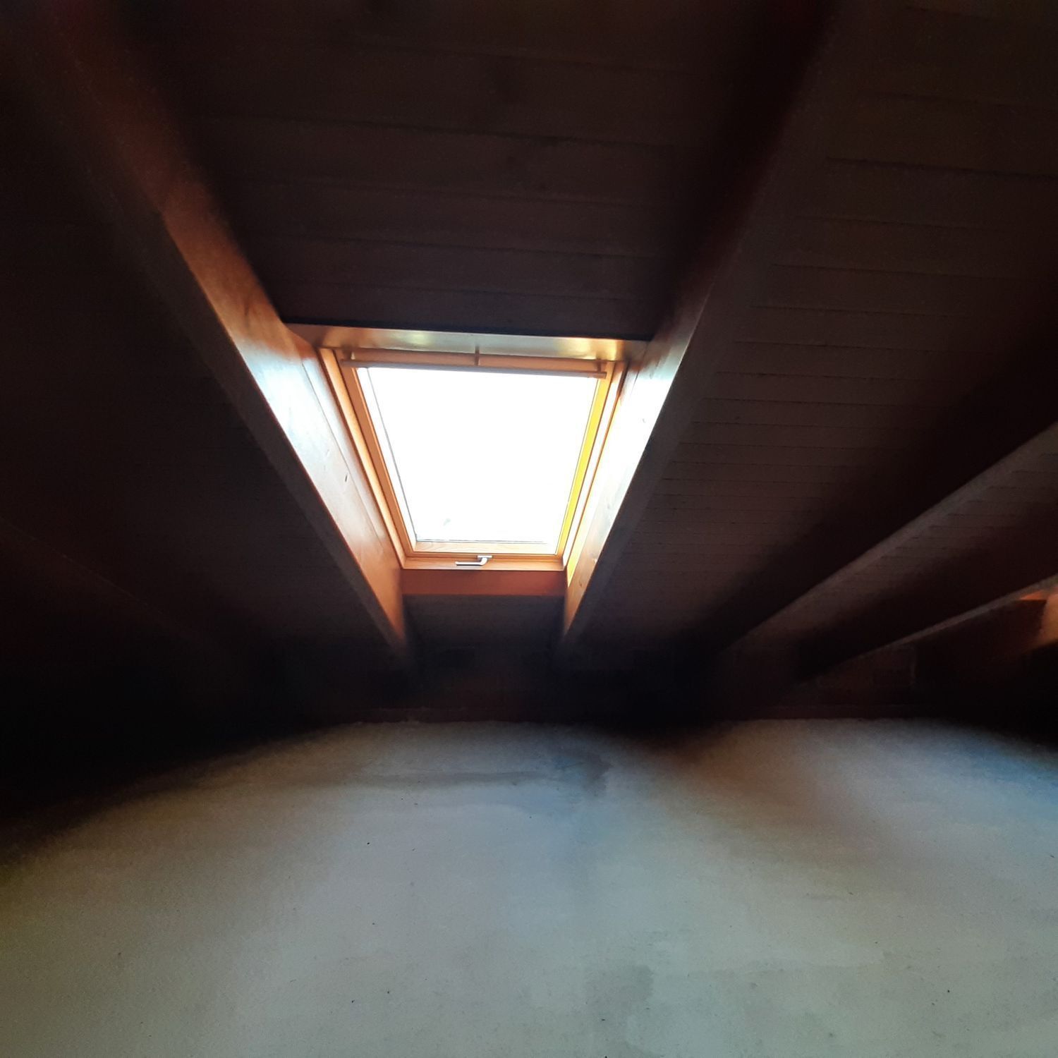 Casas o chalets-Venta-O Vicedo-2418659-Foto-19