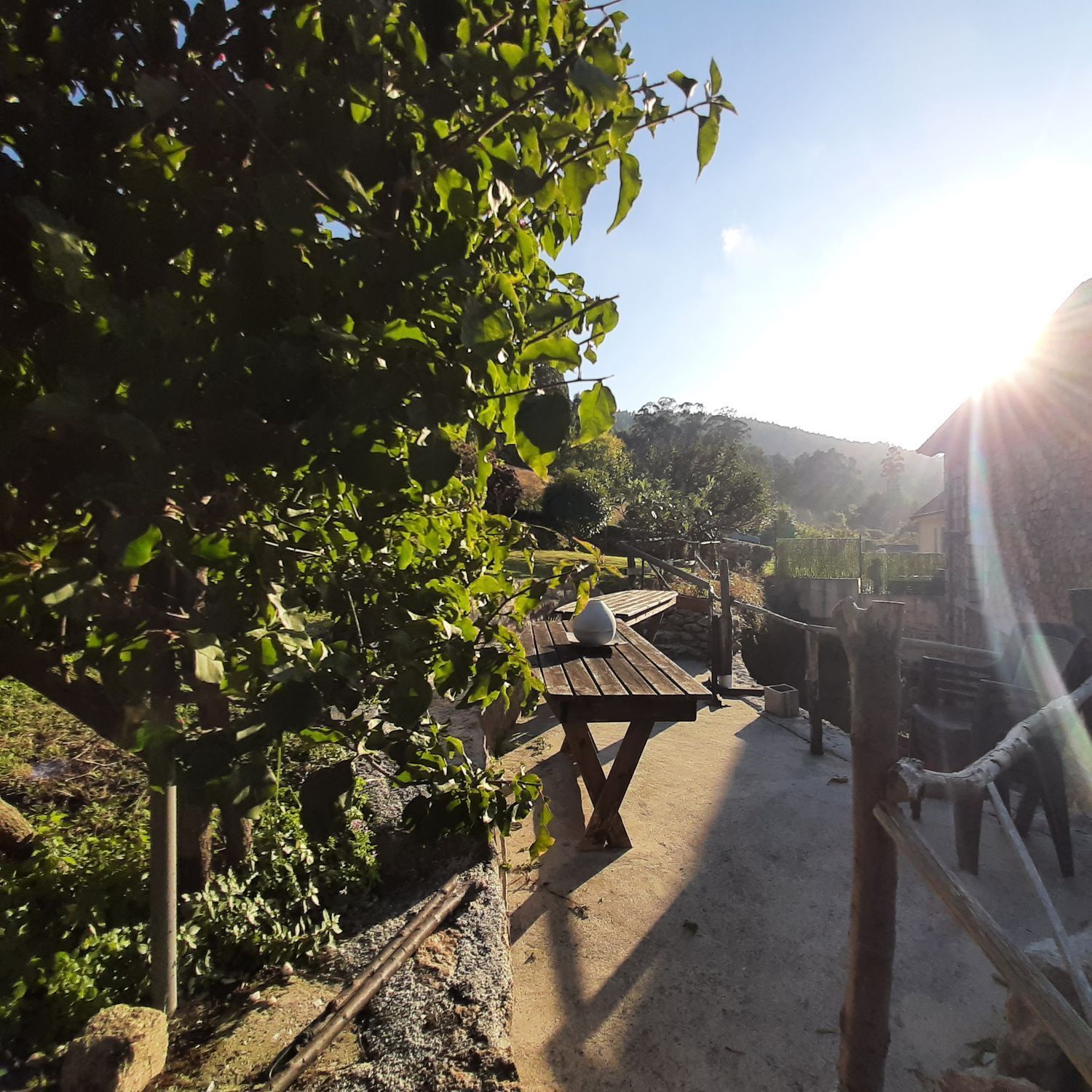 Casas o chalets-Venta-O Vicedo-2418659-Foto-22