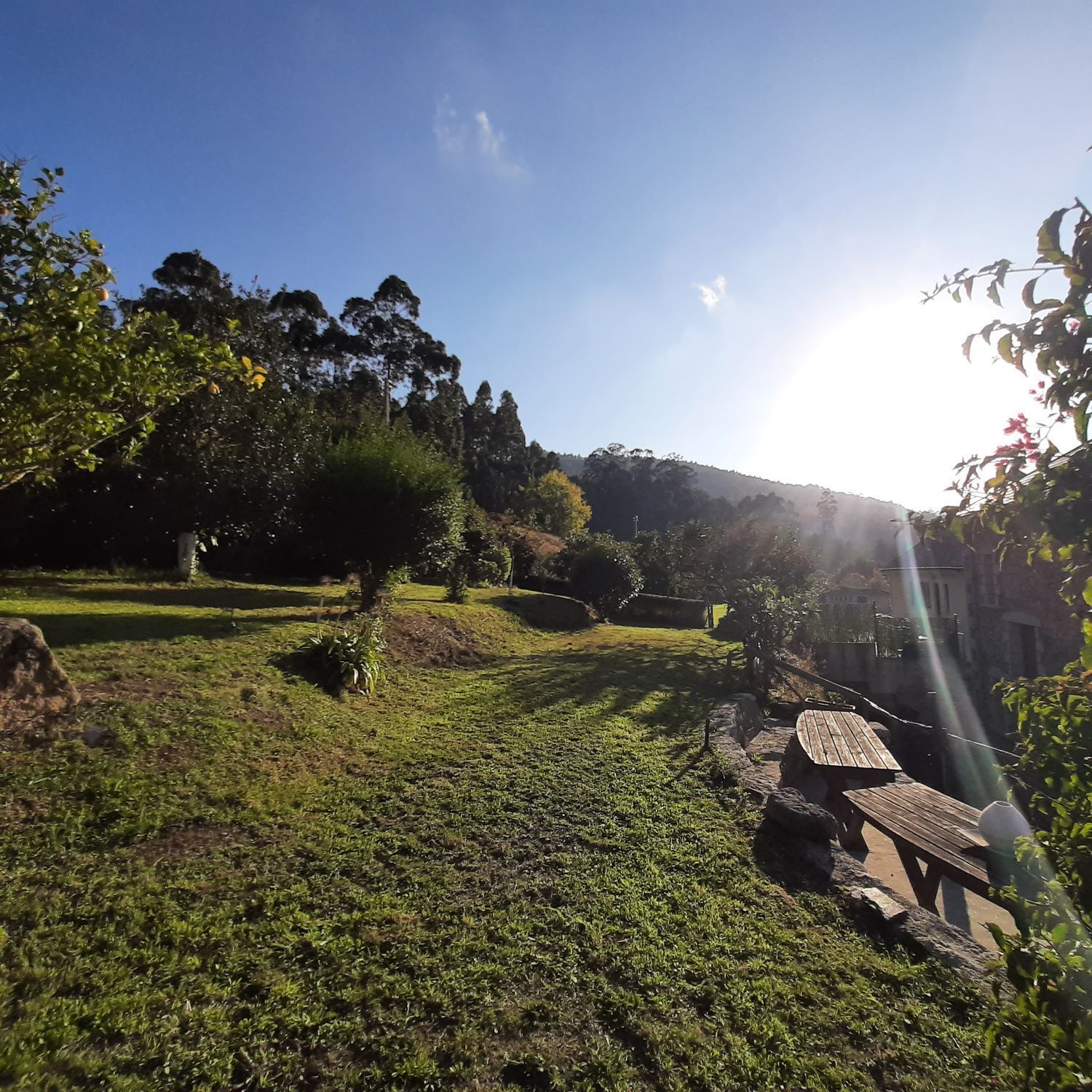 Casas o chalets-Venta-O Vicedo-2418659-Foto-23